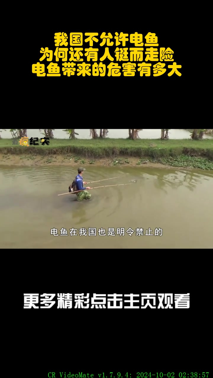 为什么不让电鱼了