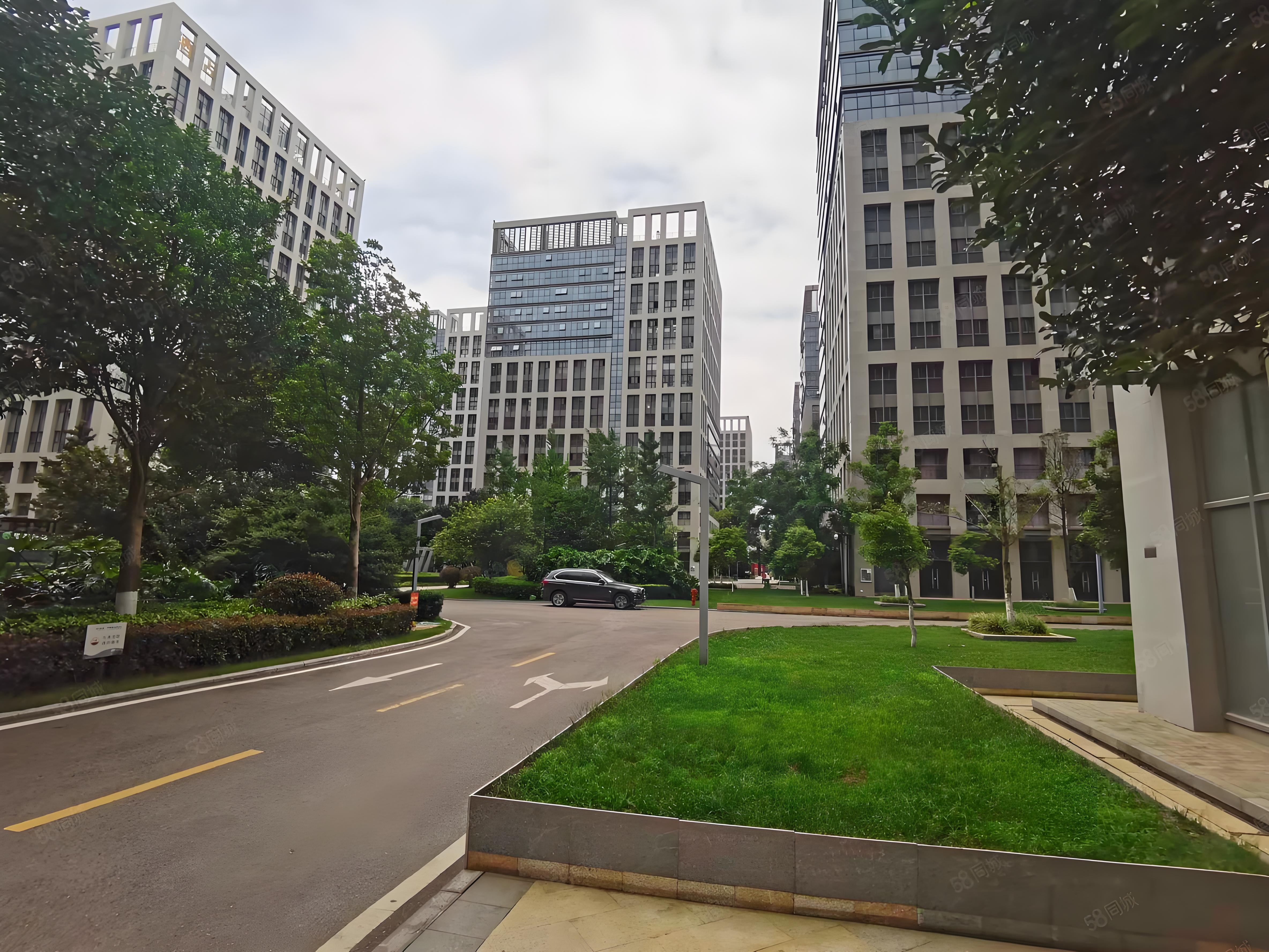 昨天,表弟打来电话说,自己马上面临大学毕业了,不知道