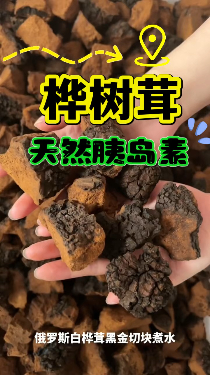 桦树茸,高糖克星,煮水泡水喝真好