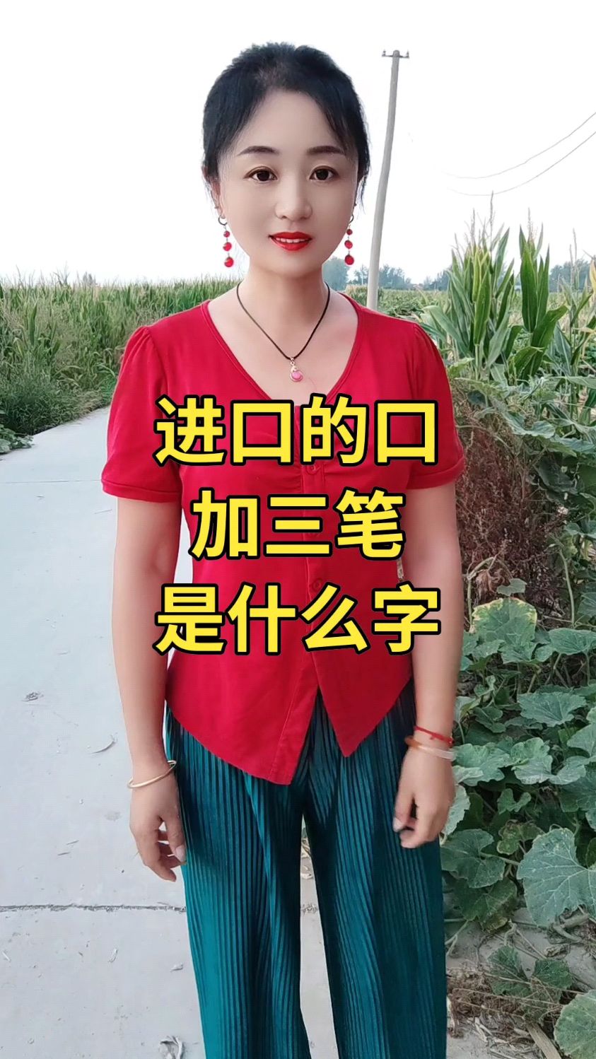 进口的口加三笔是什么字