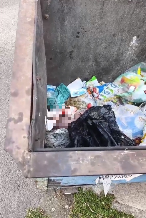 10月8日,黑龙江七台河市,有网友发视频称,市民在垃圾桶里发现一个婴儿