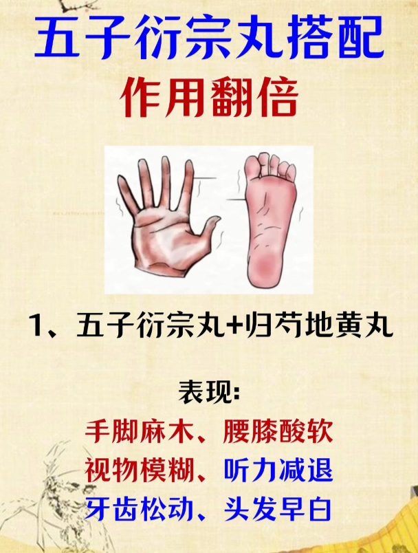 五子衍宗丸巧搭配