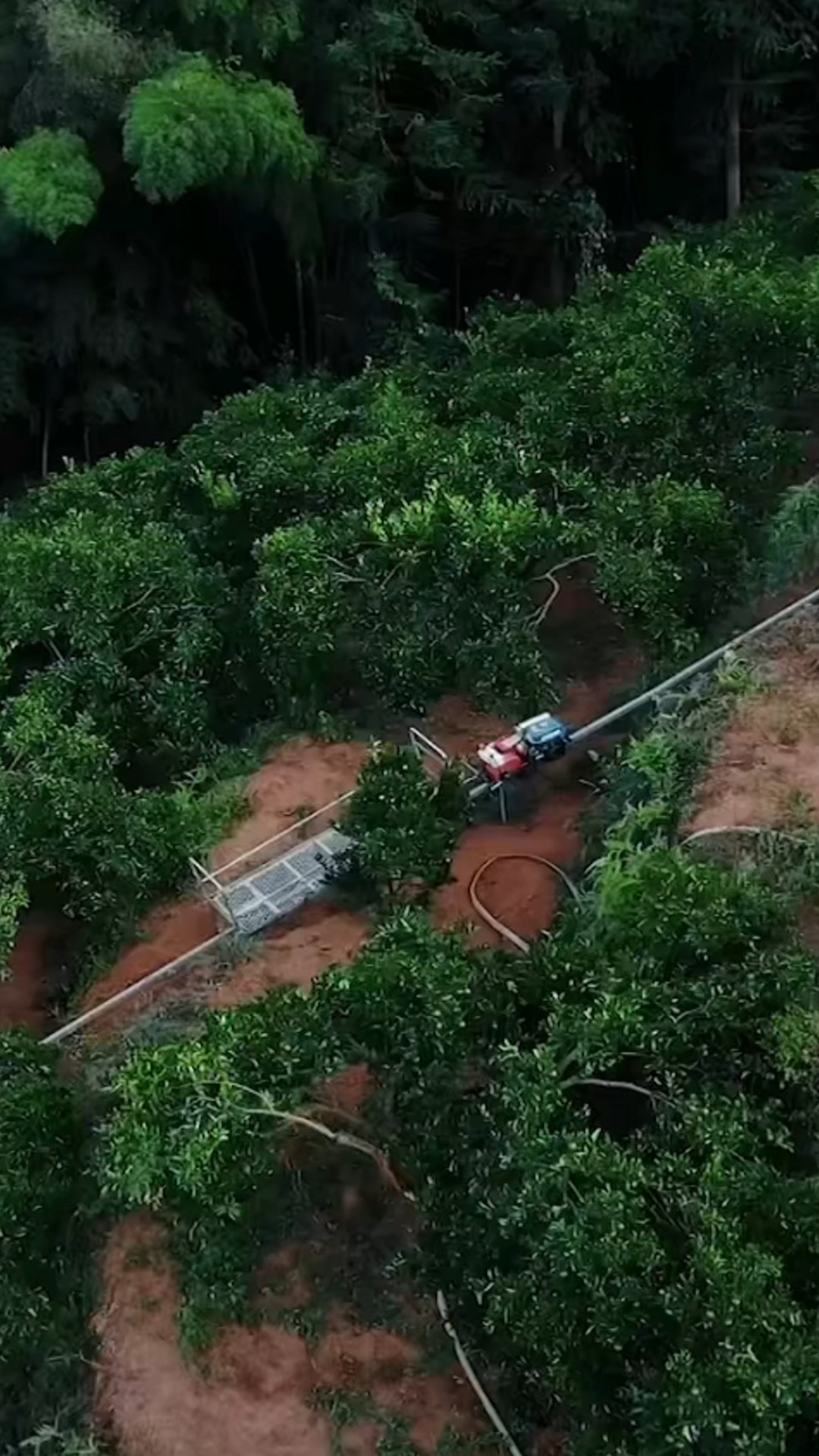 果园山地单轨道运输车