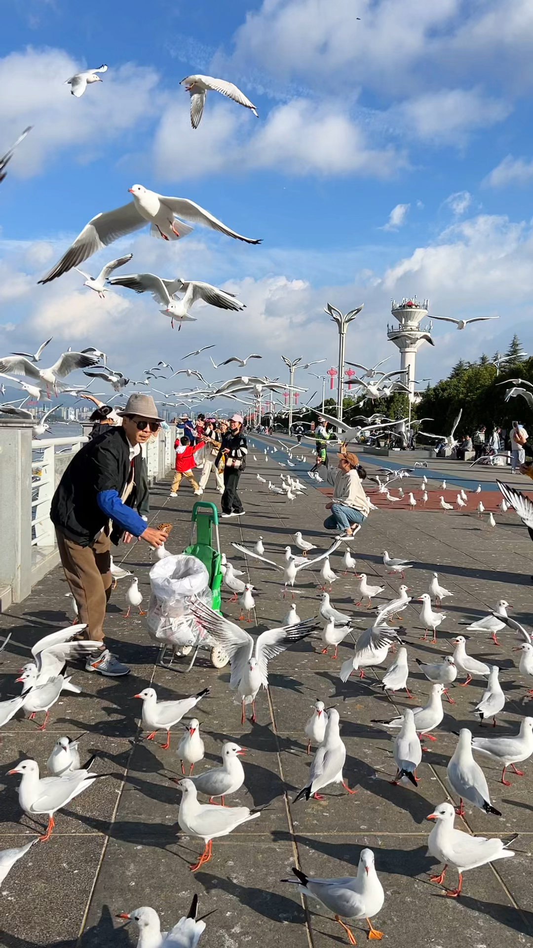 海埂大坝月份图片