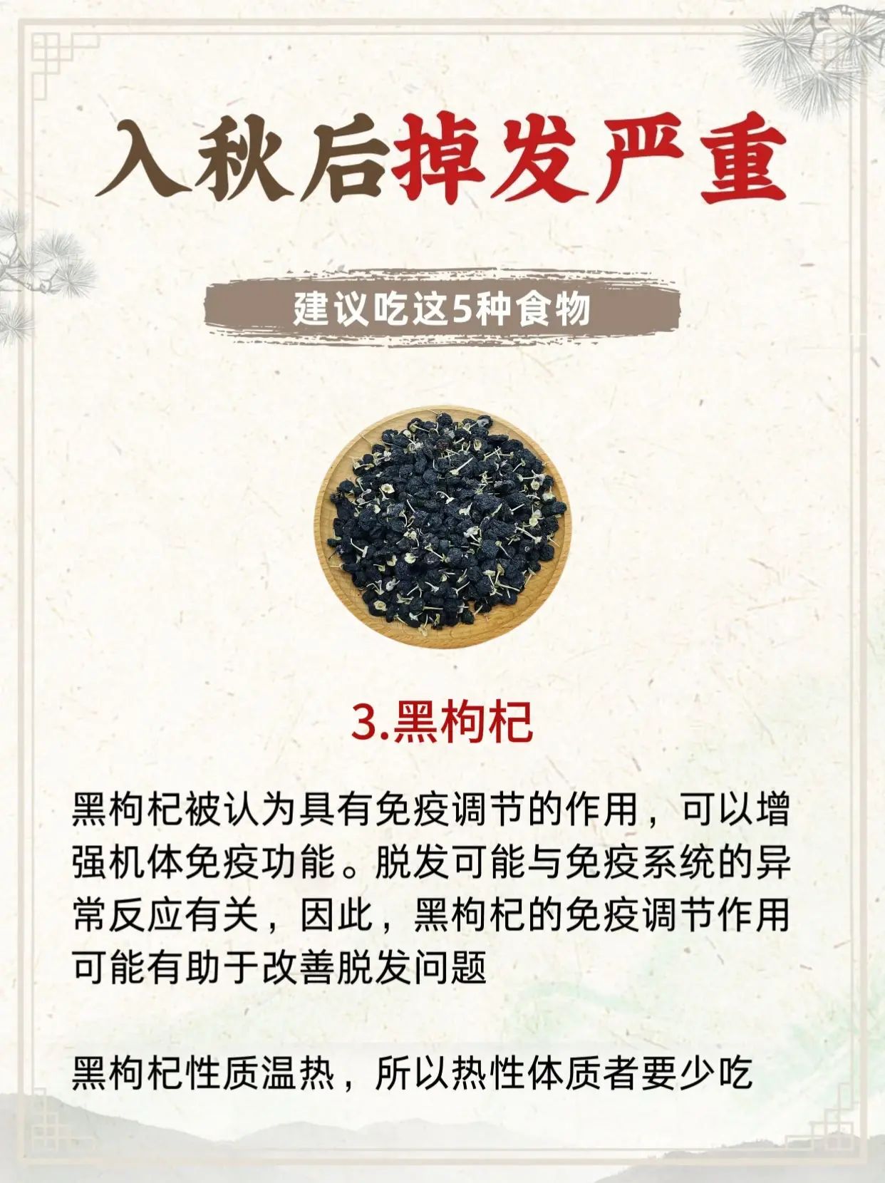 秃头少女必看秋天的防脱秘籍