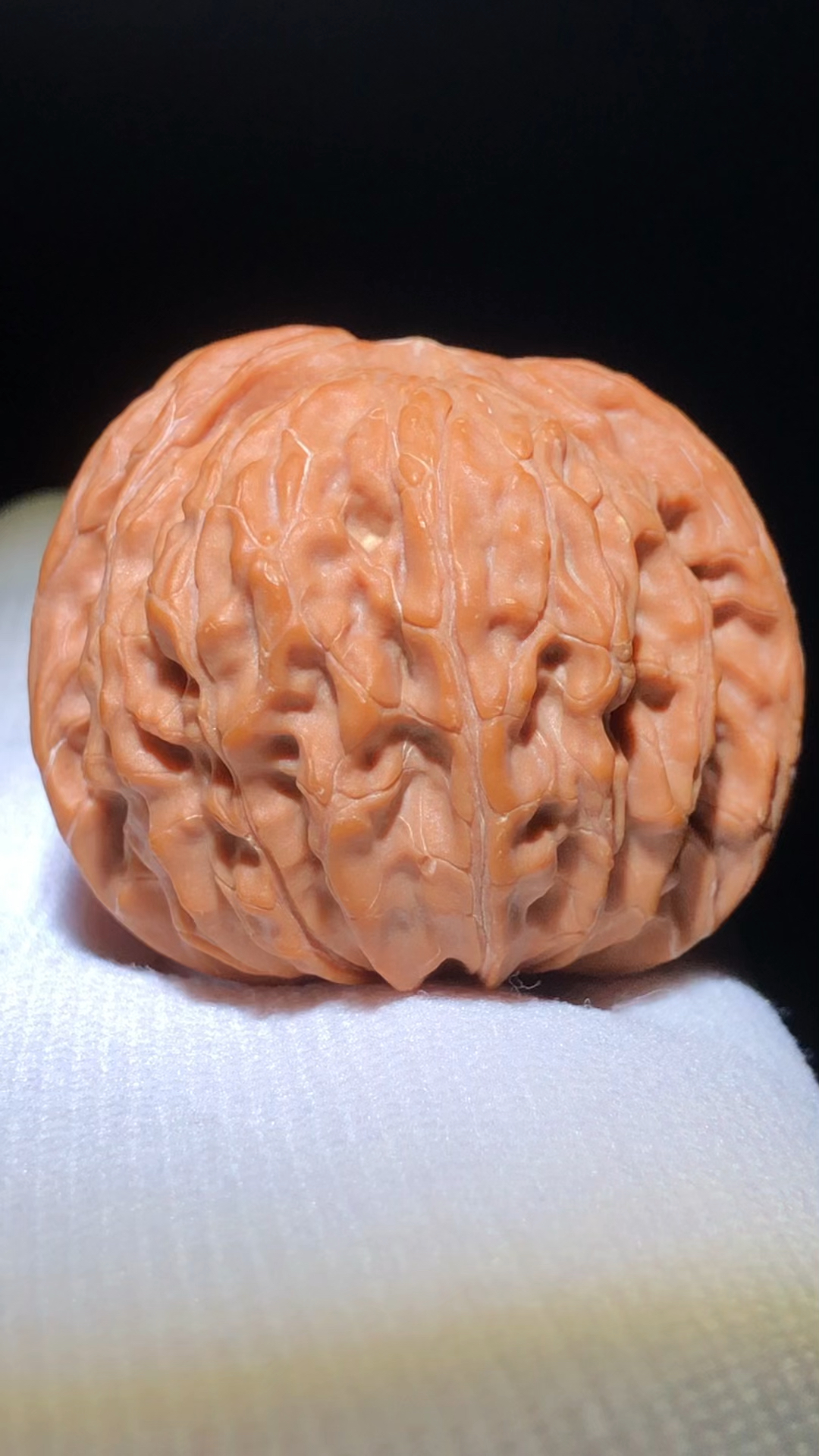红皮山地磨盘狮子头,经典老树品种,皮质好盘玩上色快走色牛津红