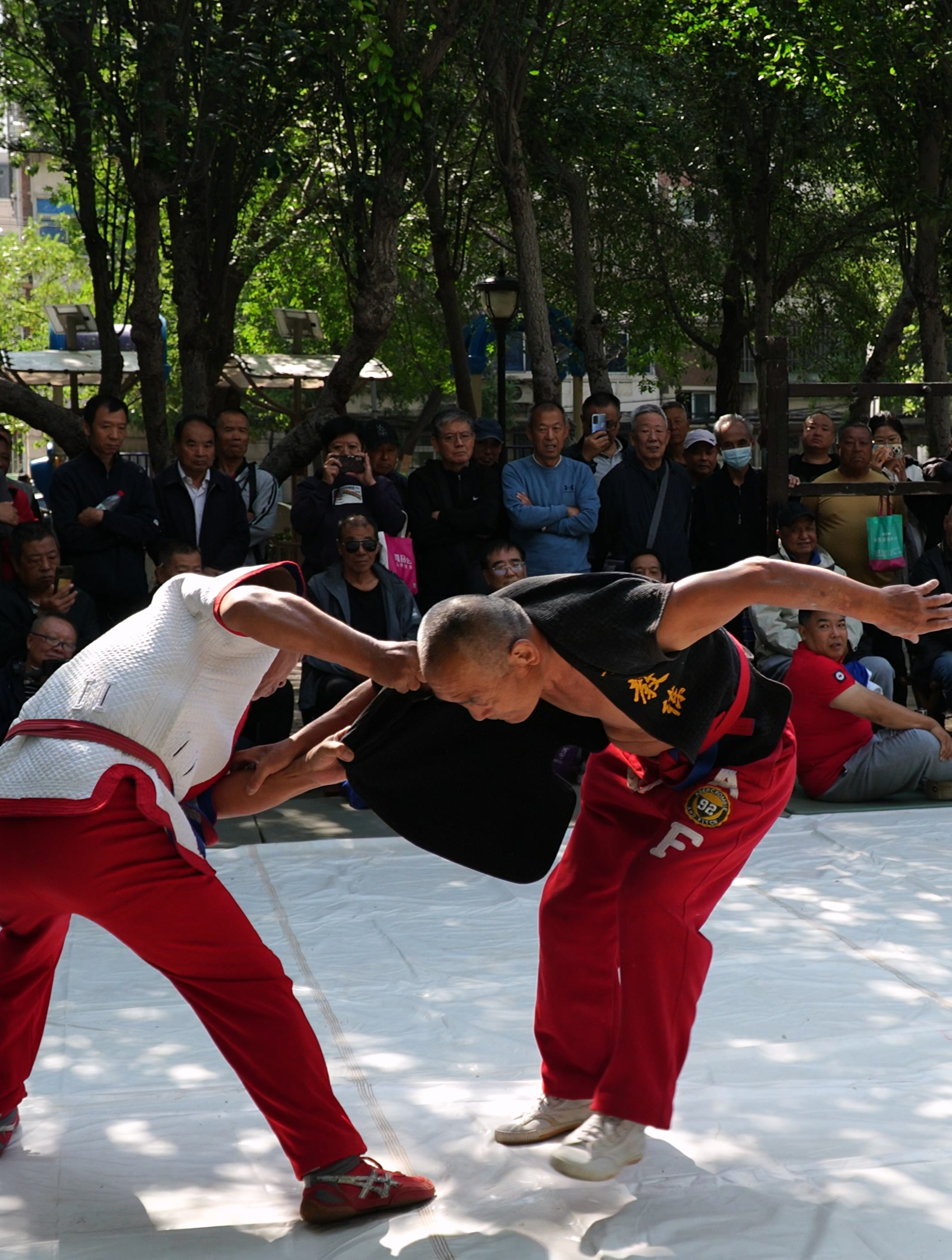 天津摔跤,大爷的机会来啦