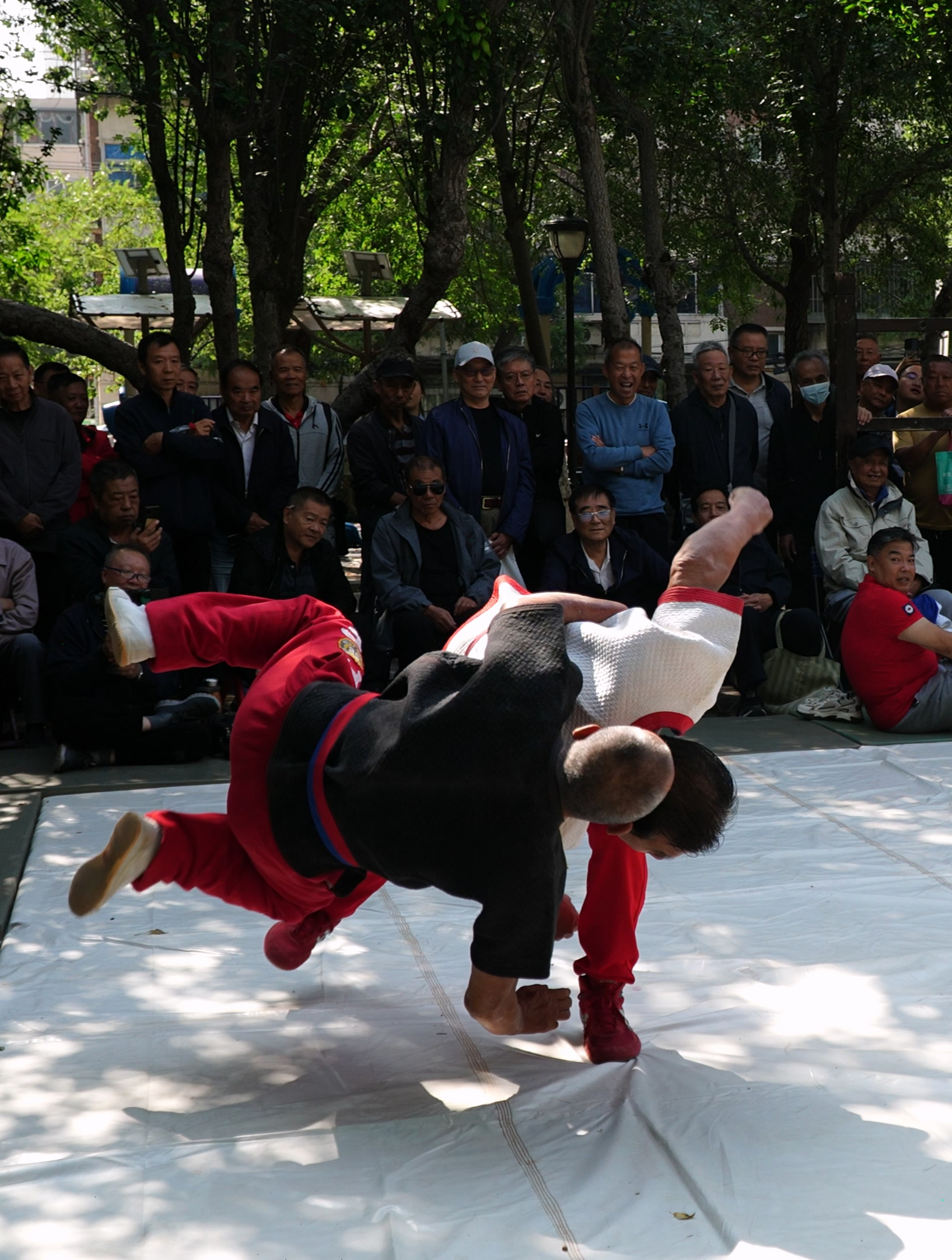 天津摔跤,玩跤就是大爷最简单的快乐