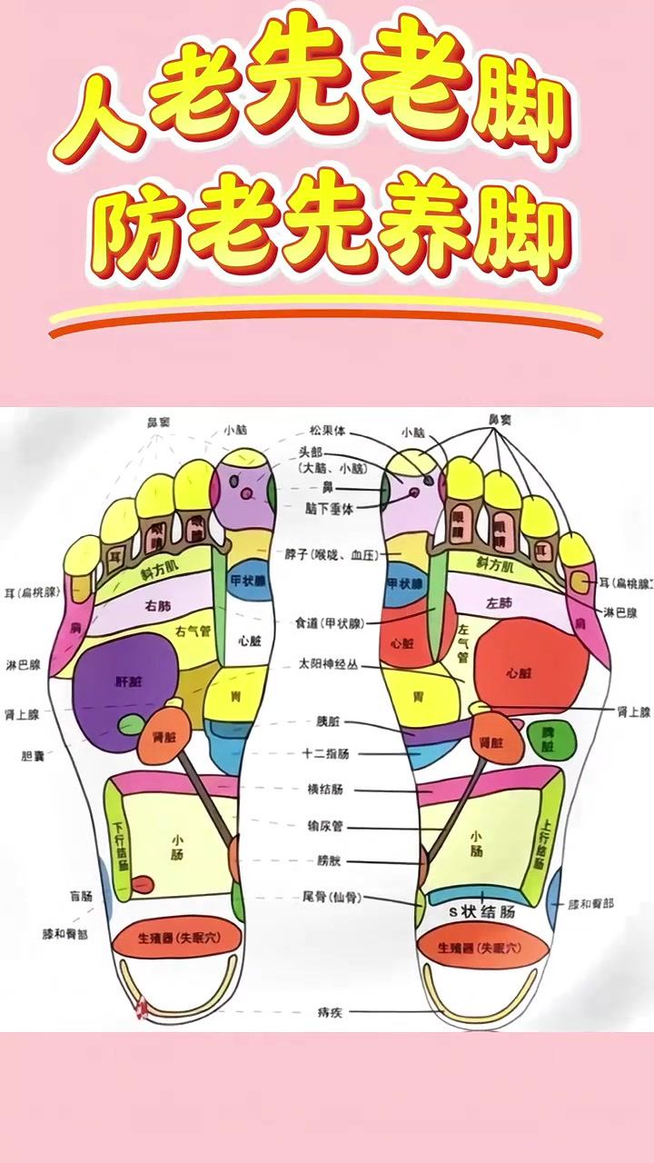 足底按摩手法口诀图片