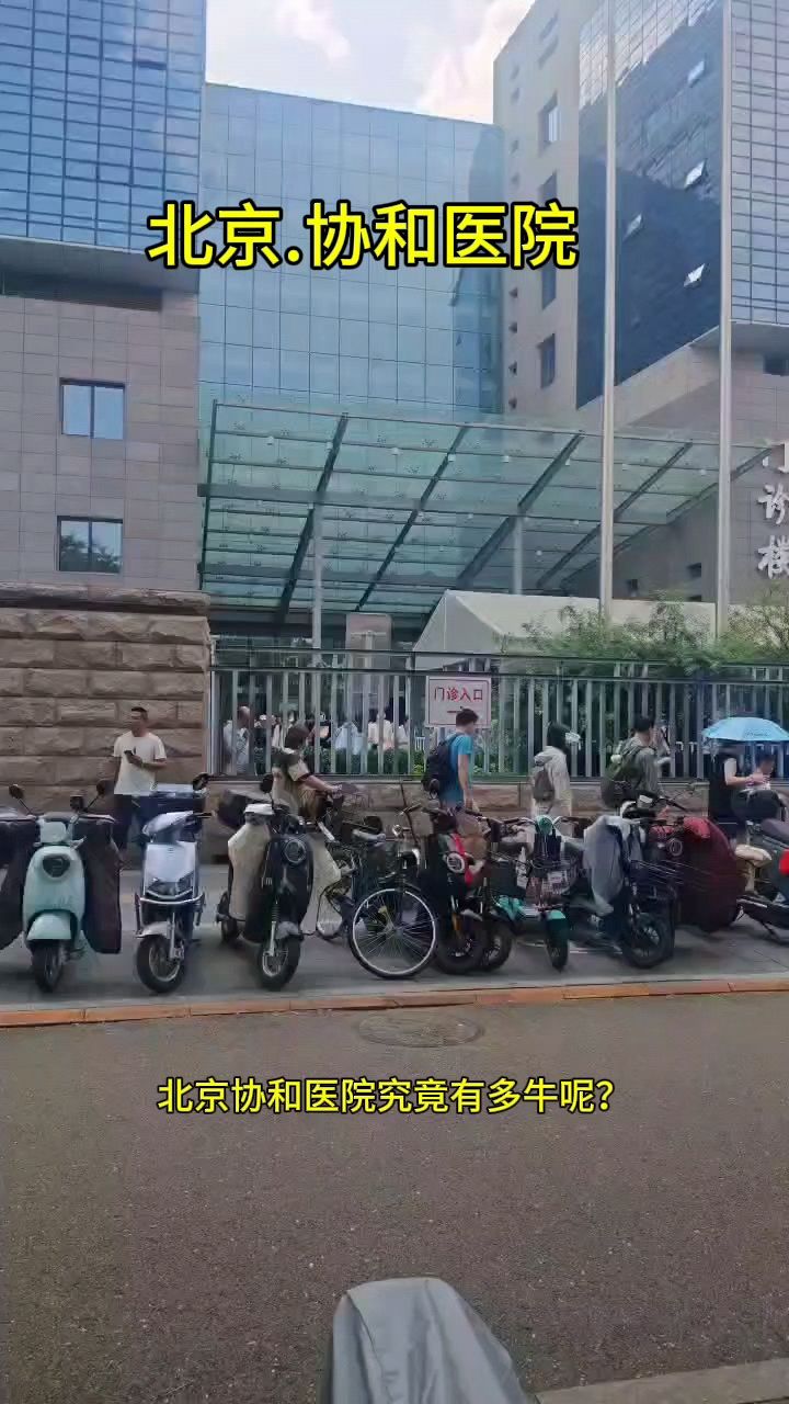 關于北京陪診服務收費	協助就診，就診引導號販子專家預約代掛的信息