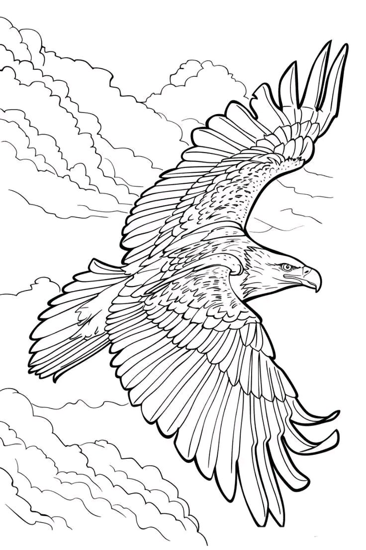 白描 | 老鹰题材