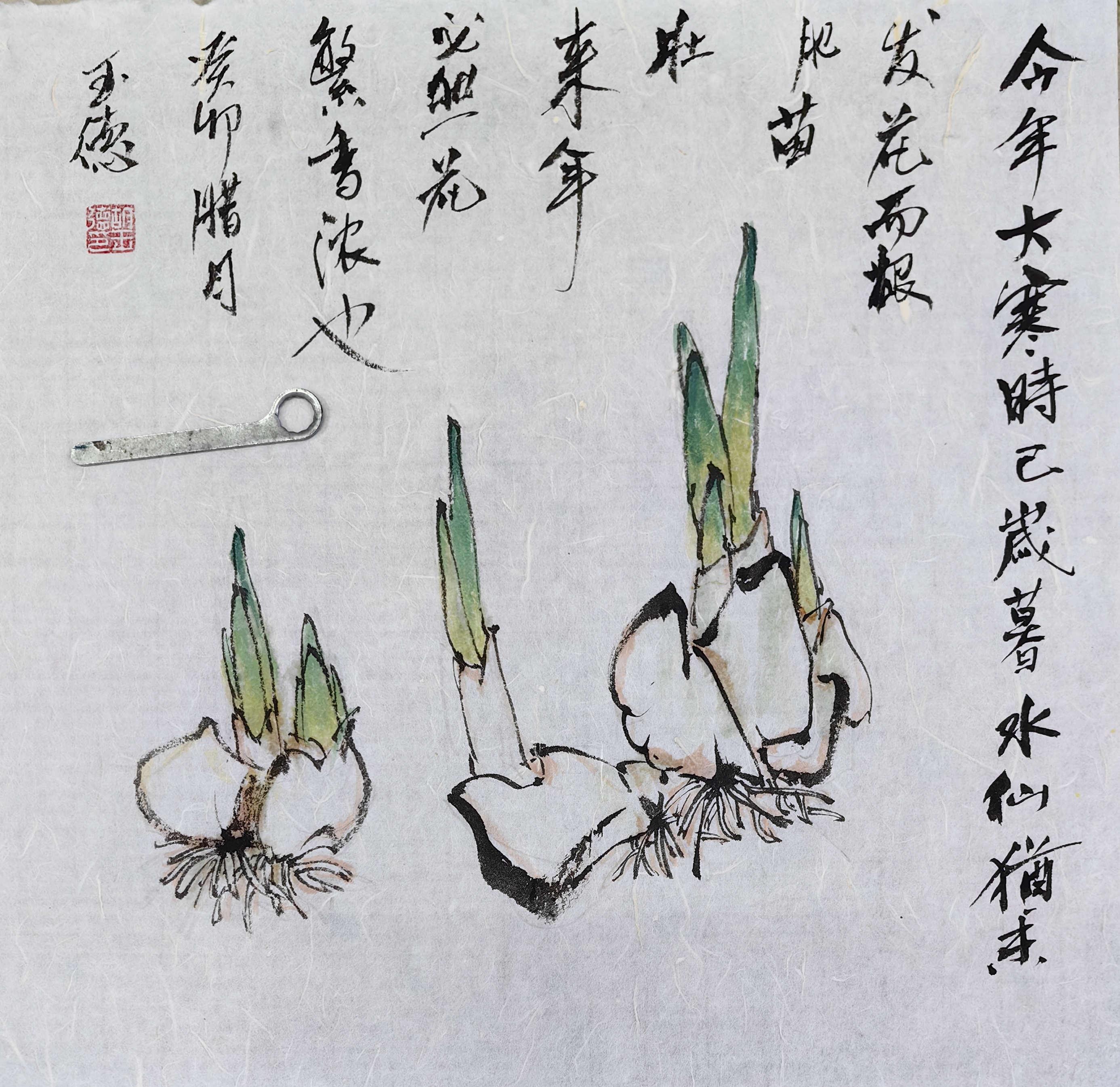 堪与梅花竞标格,冲寒也向雪中开.#教育创作激励计划