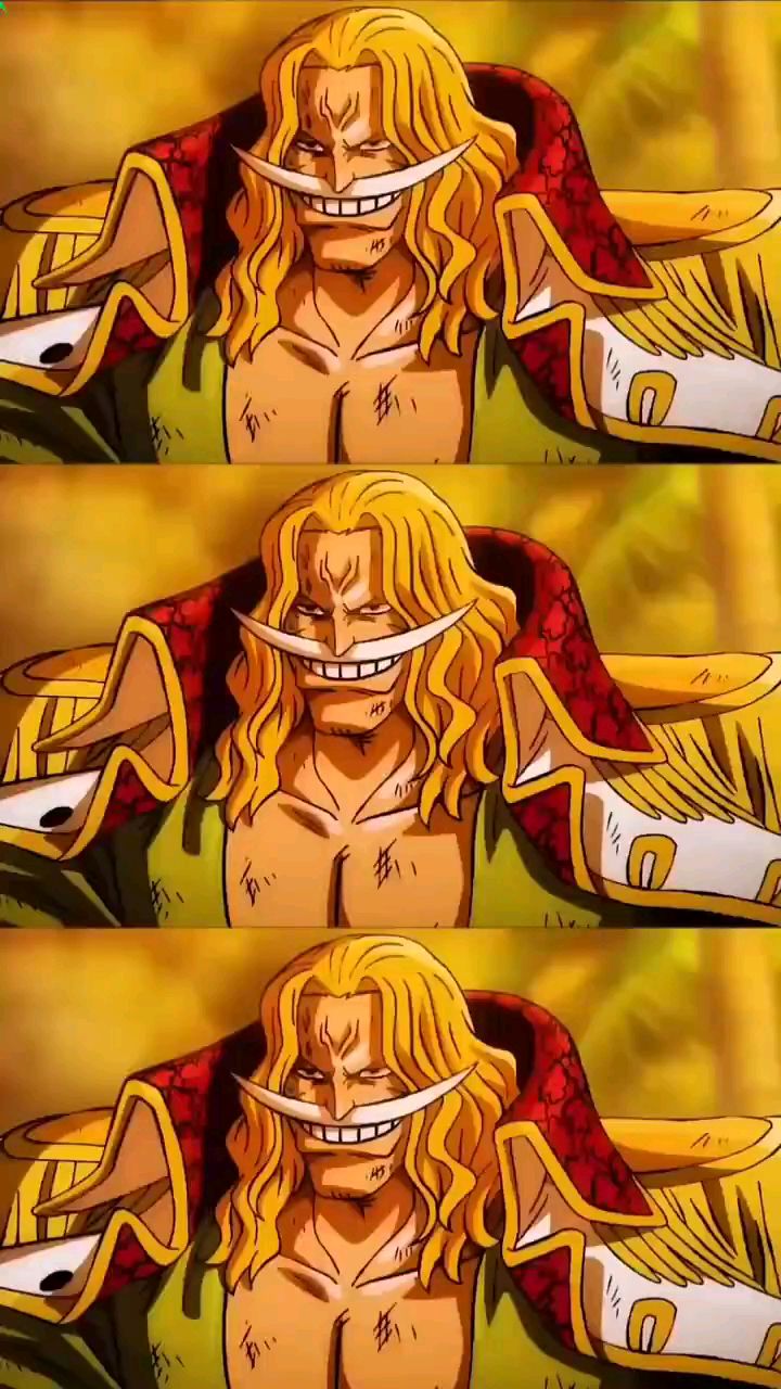 白胡子对战罗杰,海贼王最强对战