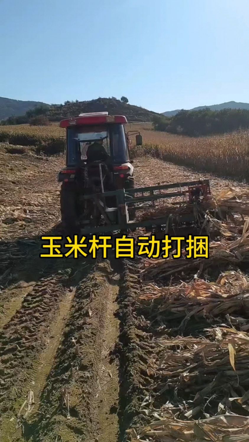 玉米杆自动扎捆,科技提升生产力