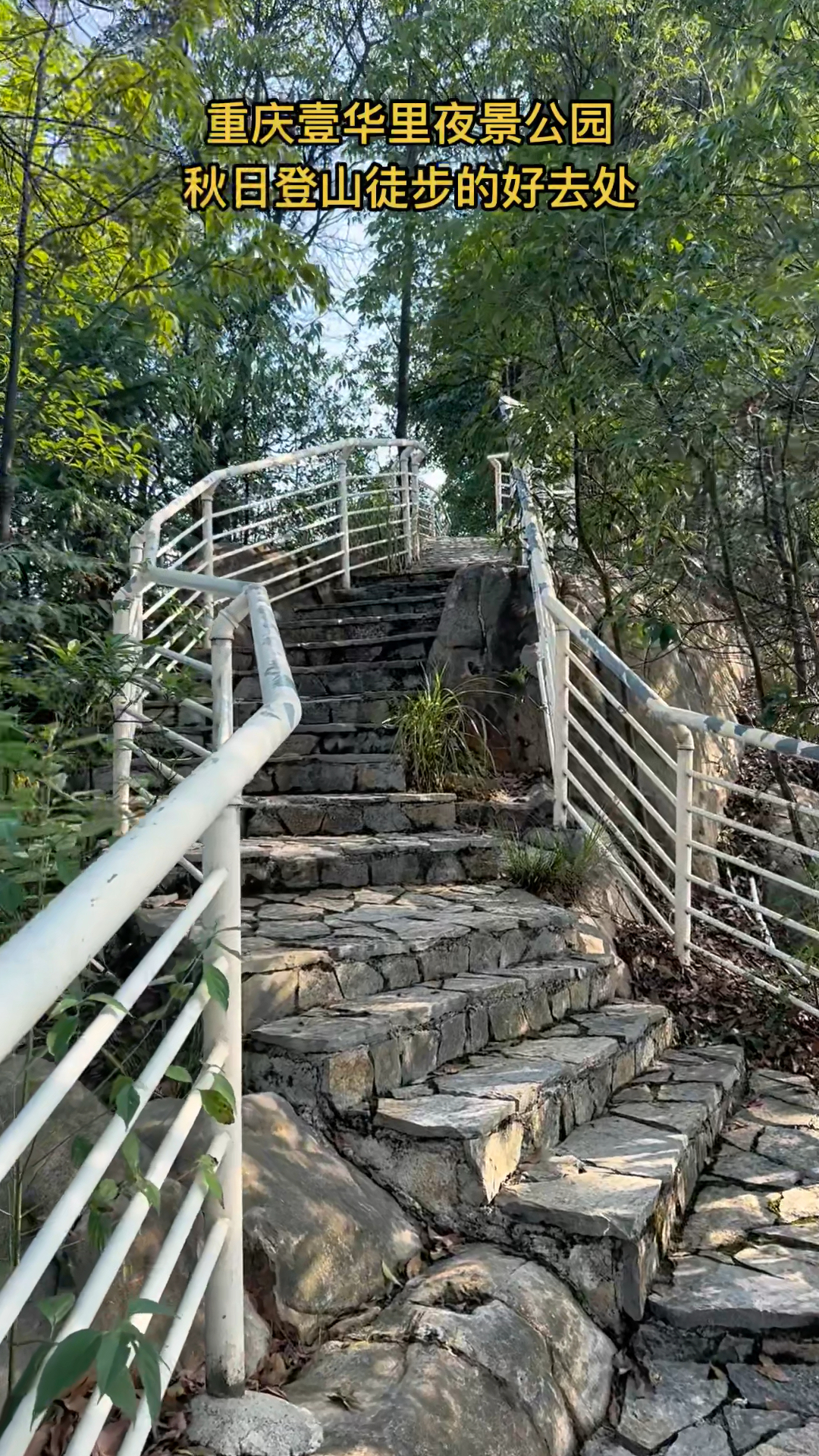 重庆登山好去处图片