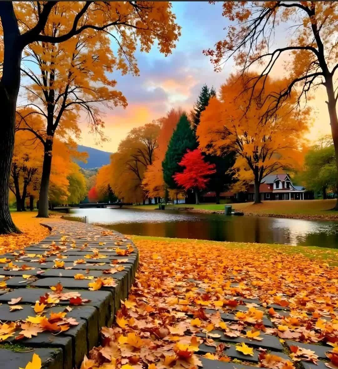 "停车坐爱枫林晚,霜叶红于二月花