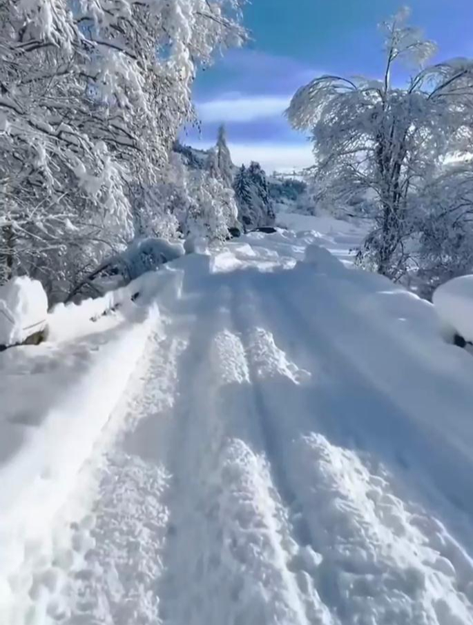 西岭雪山现在有雪吗图片