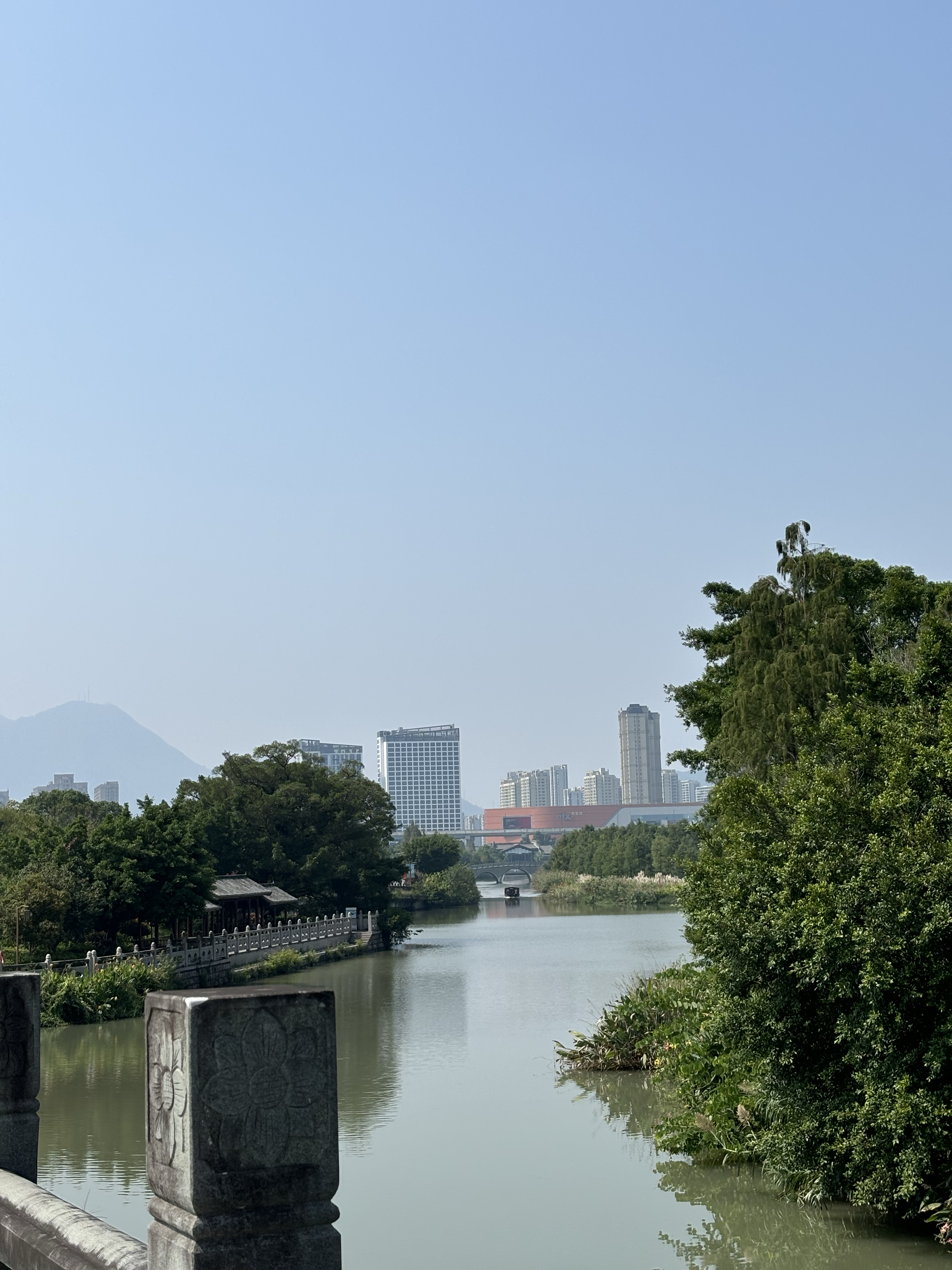 温州三垟湿地游记图片