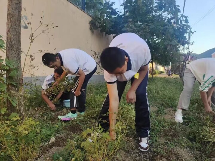 生日常生活劳动的图片寻找一张不超过200k的学生拔花生照片躬身劳作