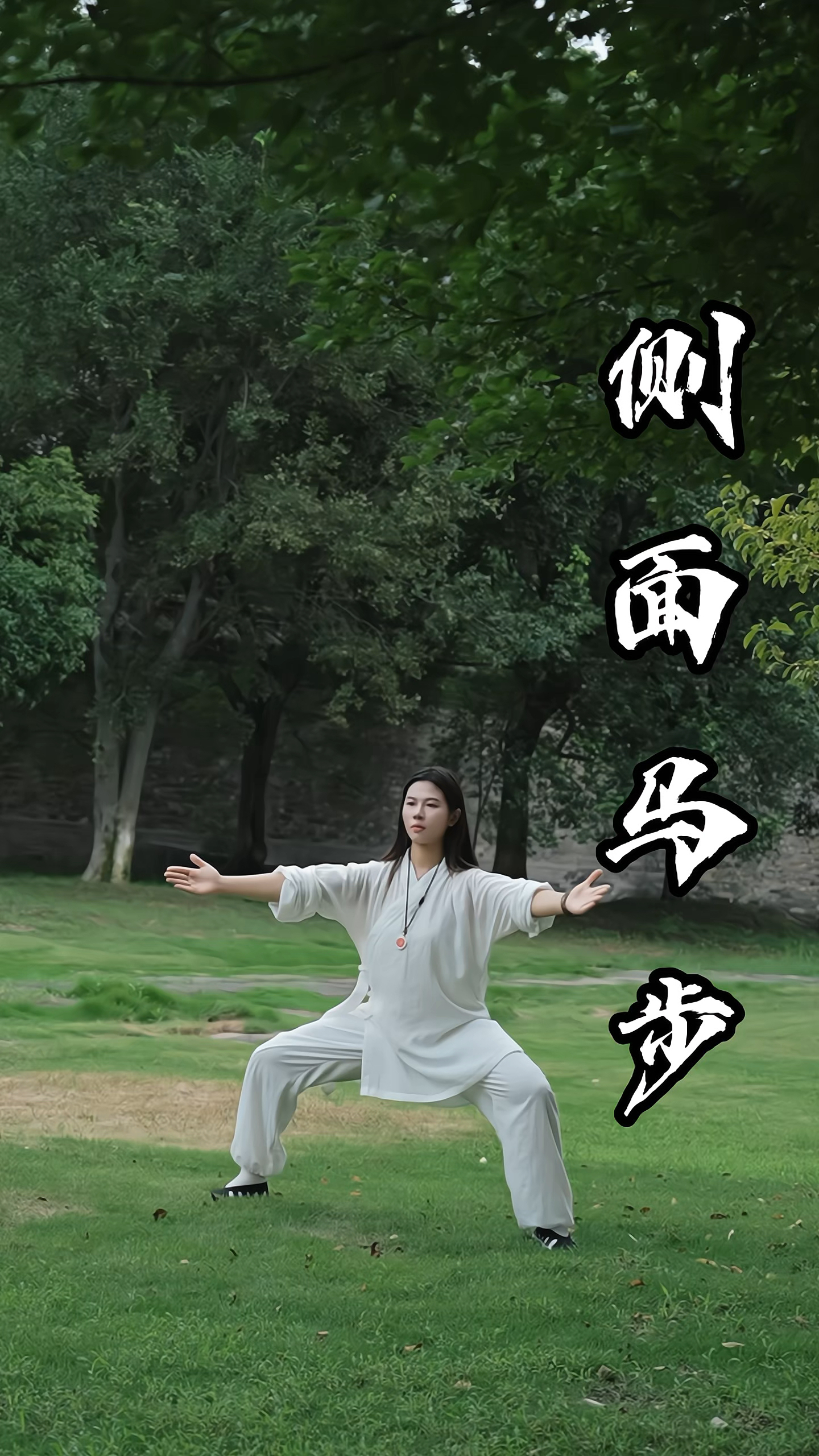 这个马步能扎5分钟就超过90%的人了#马步 #武当武术 #道家养生