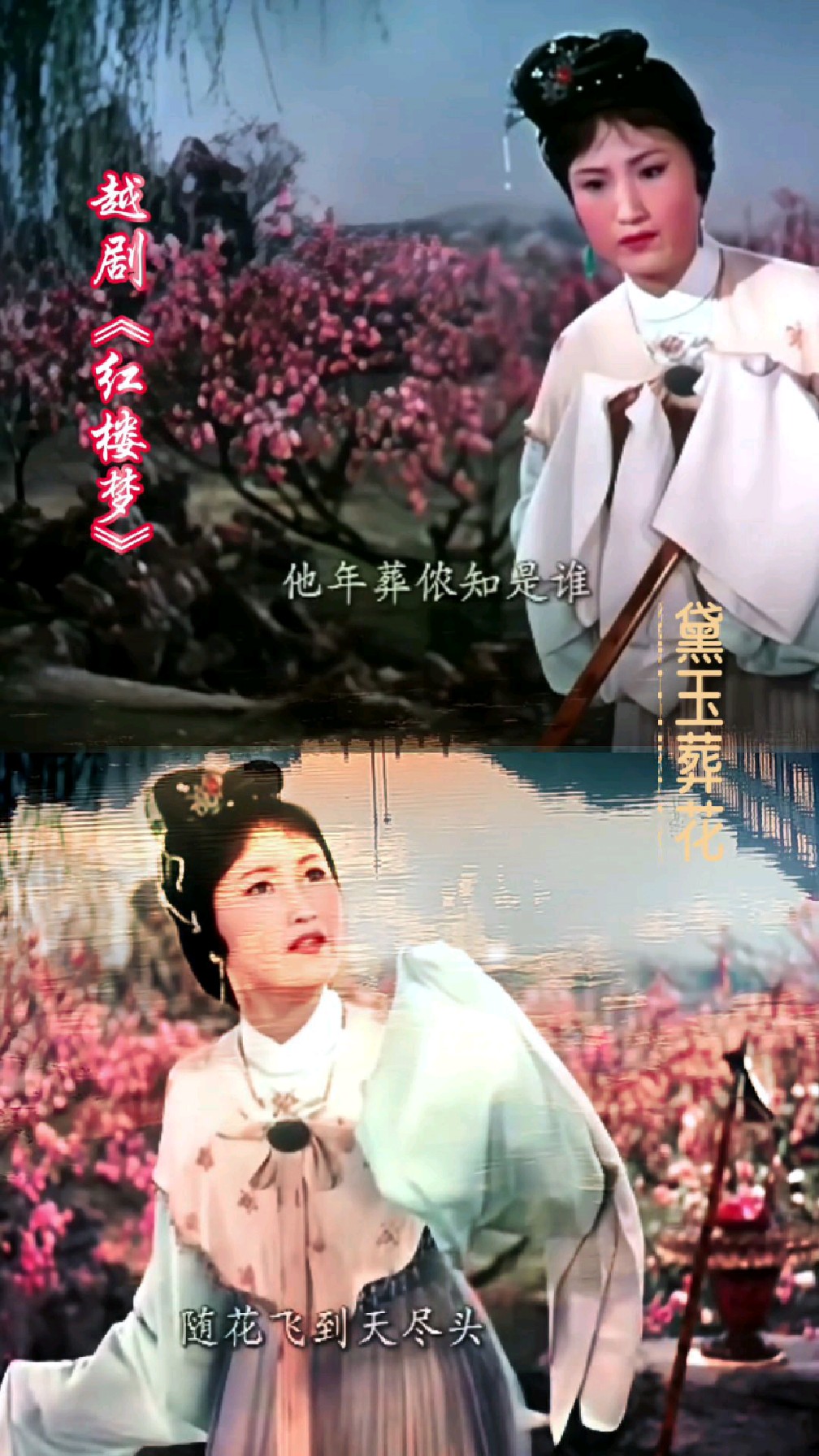 越剧《红楼梦~黛玉葬花》王文娟,侬今葬花人笑痴