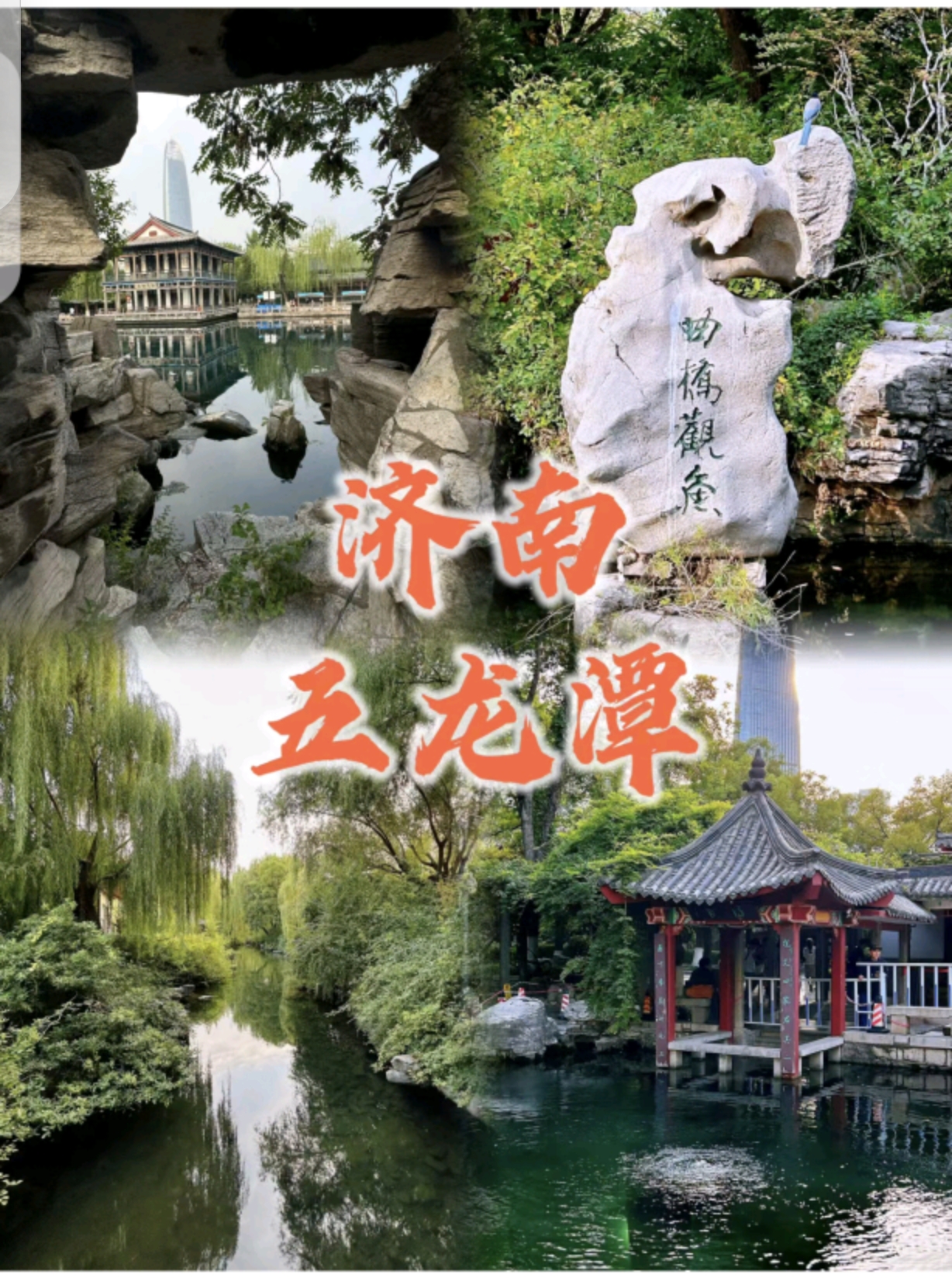 走进大自然的调色盘# 走进济南五龙潭公园,我有一种走进扬州瘦西湖的