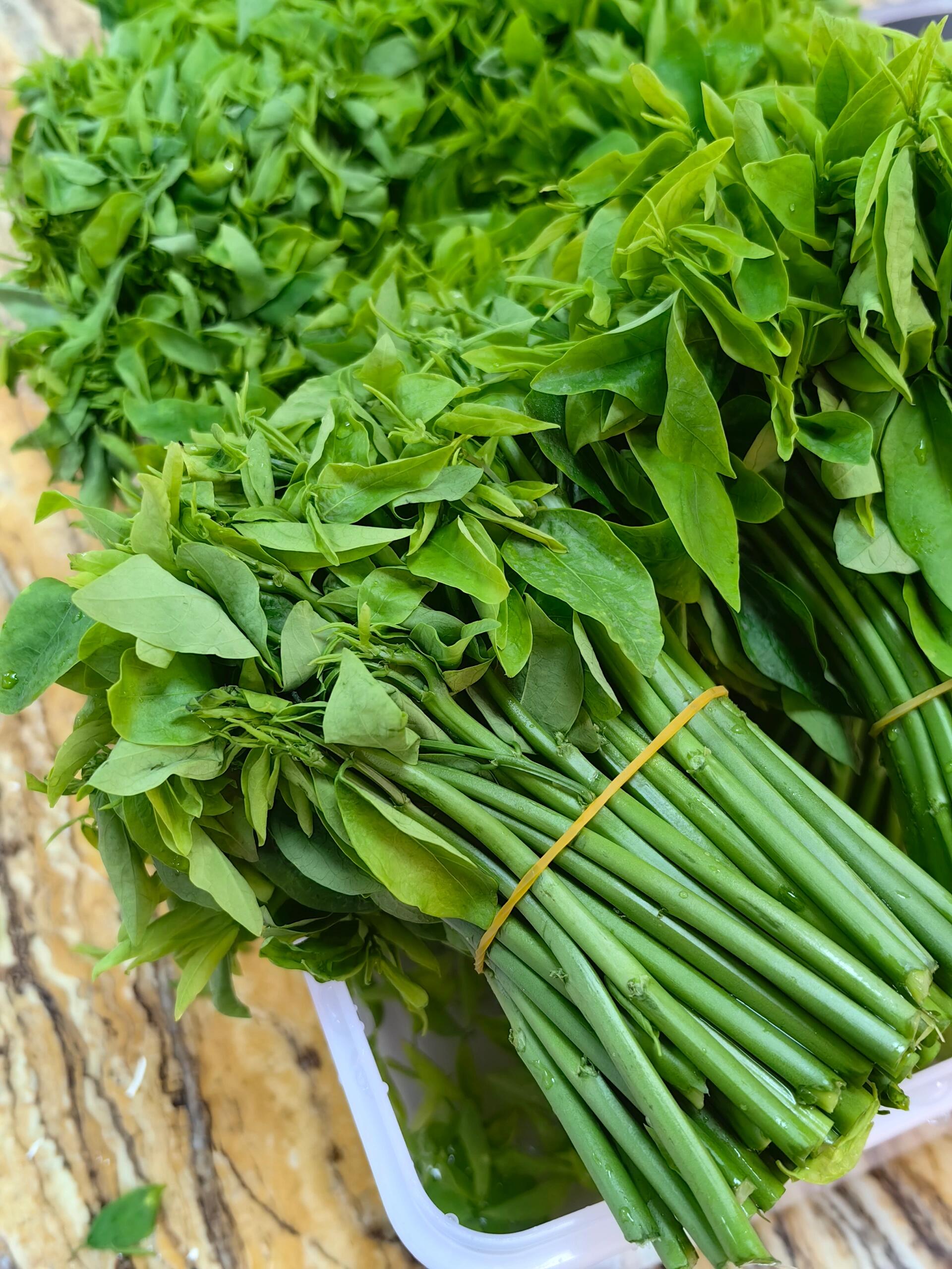 在一家牛肉店吃到的 老板说是从潮汕寄过来的野菜 脆脆的口感有点像