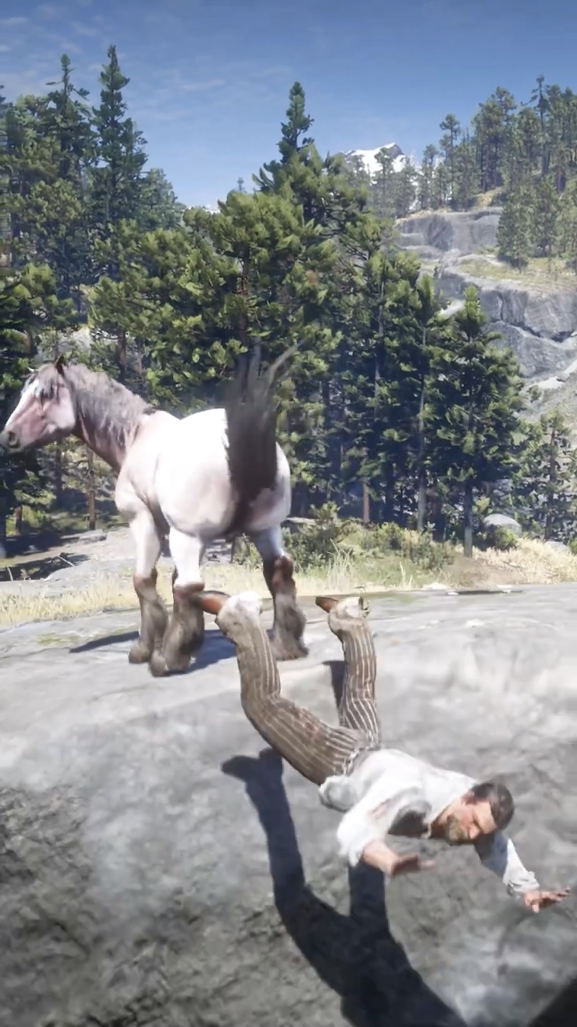 亚瑟高呼我太难了,宝马漂亮后蹬腿送他去喂鳄鱼,大镖客2