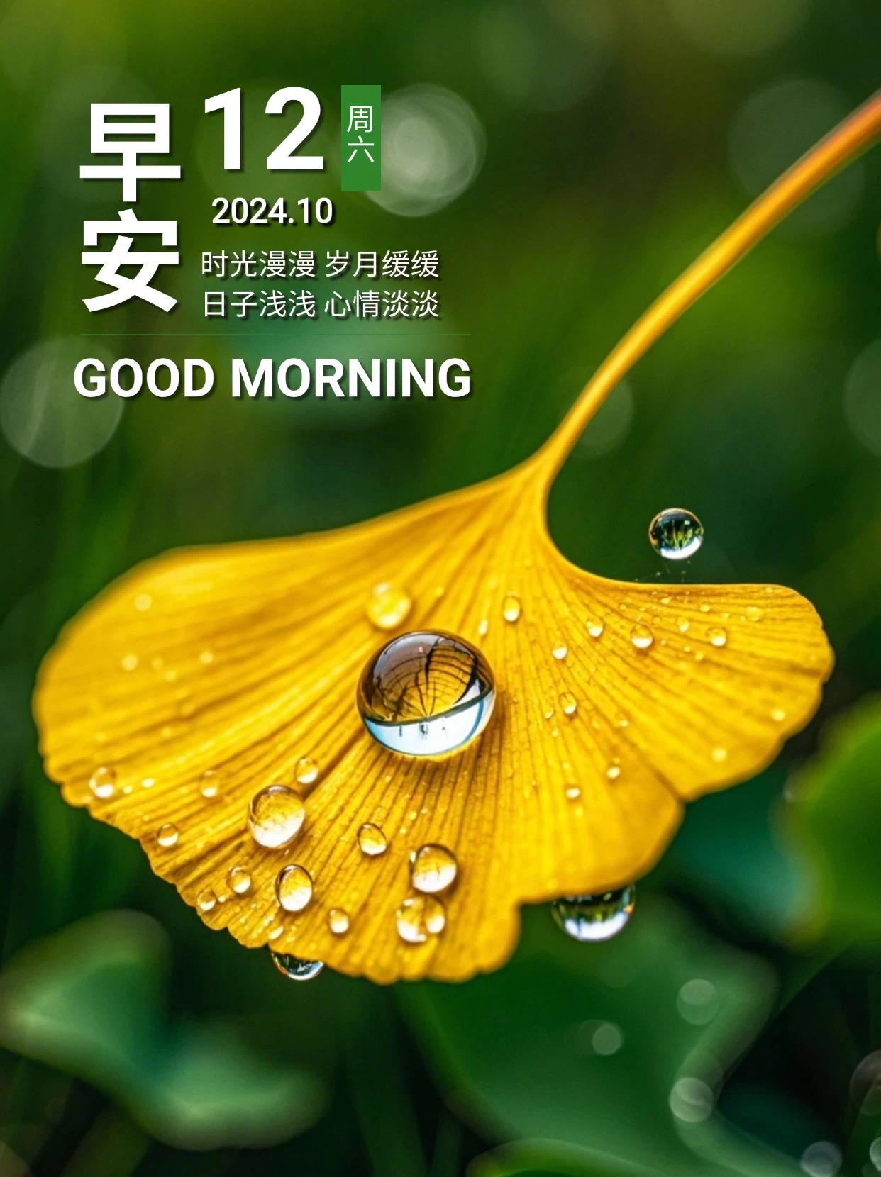 1周六早安轻轻睁开眼鸟儿欢叫甜;微微打开窗清新满心间;匆匆洗个