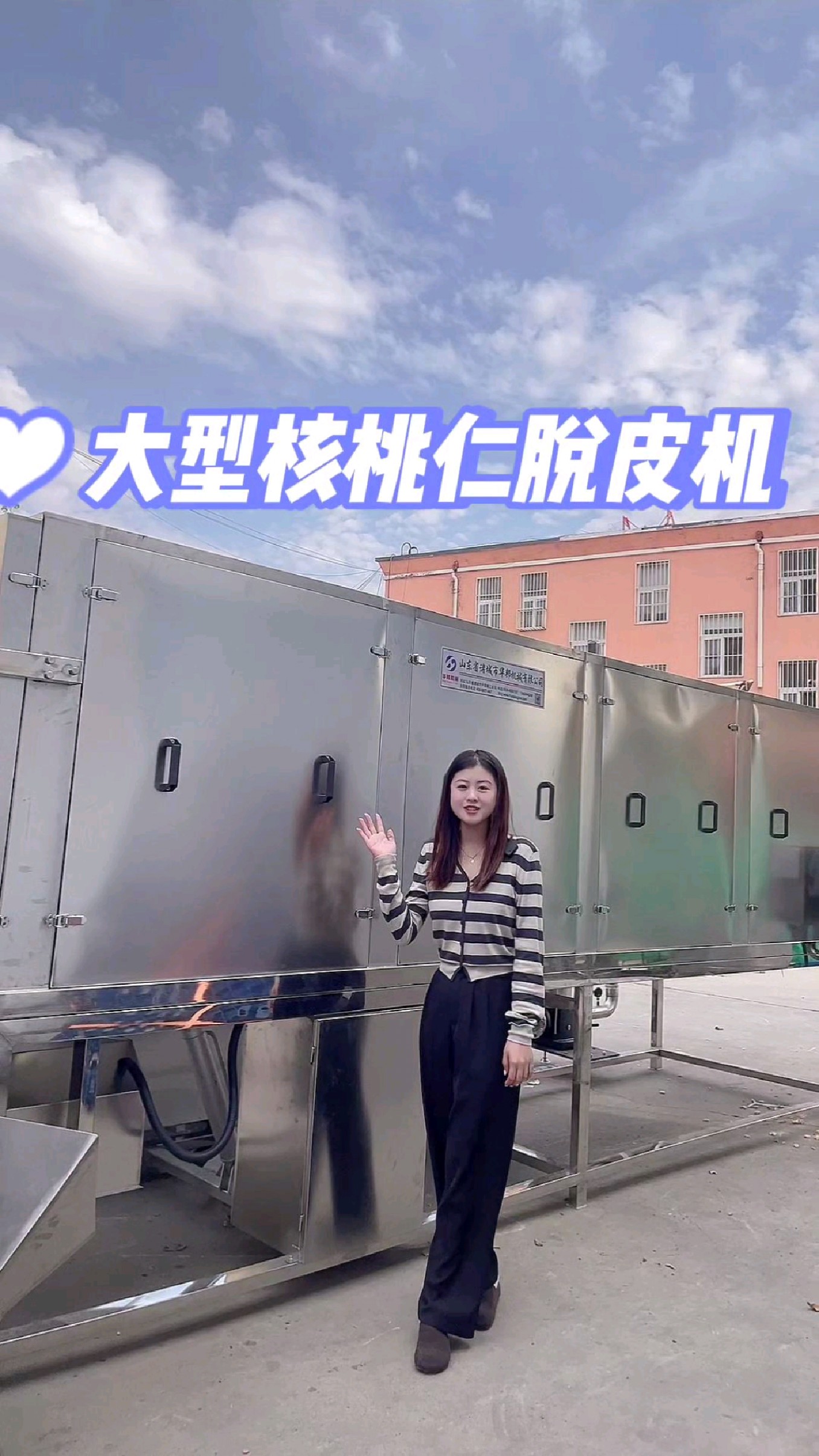 大型核桃仁脱皮机,物理核桃仁去皮机