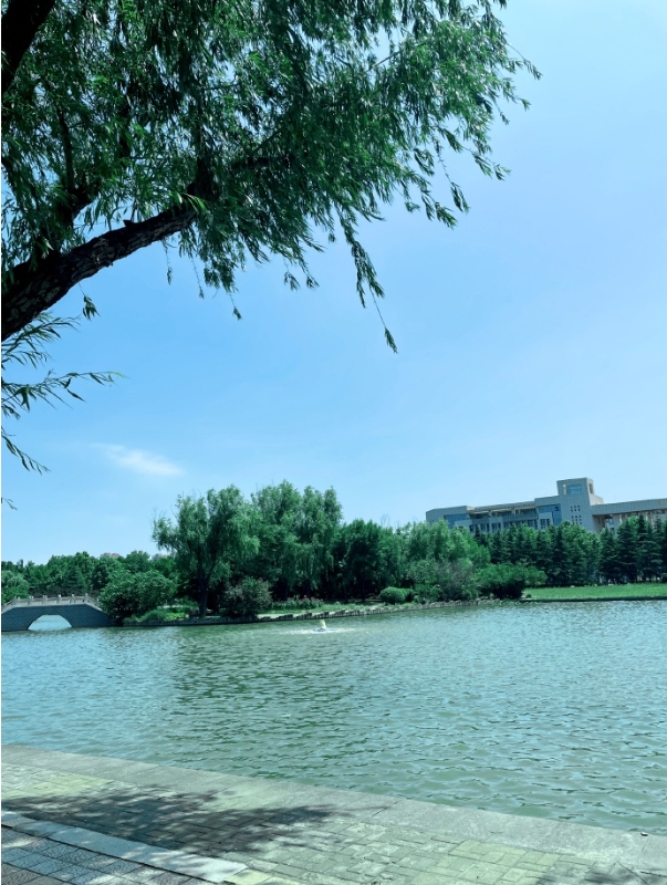 河科大是河南科技大学的简称,学校位于"千年帝都,牡丹花城"的洛阳市