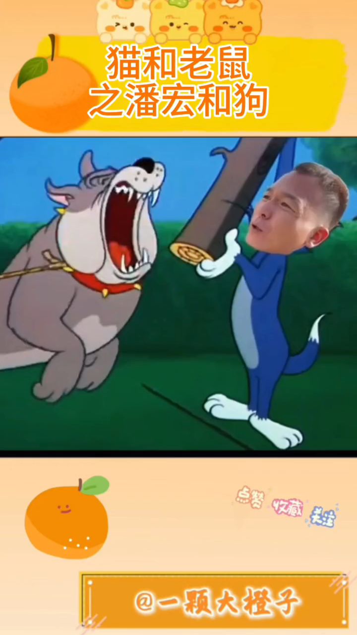 猫和老鼠版潘宏训狗