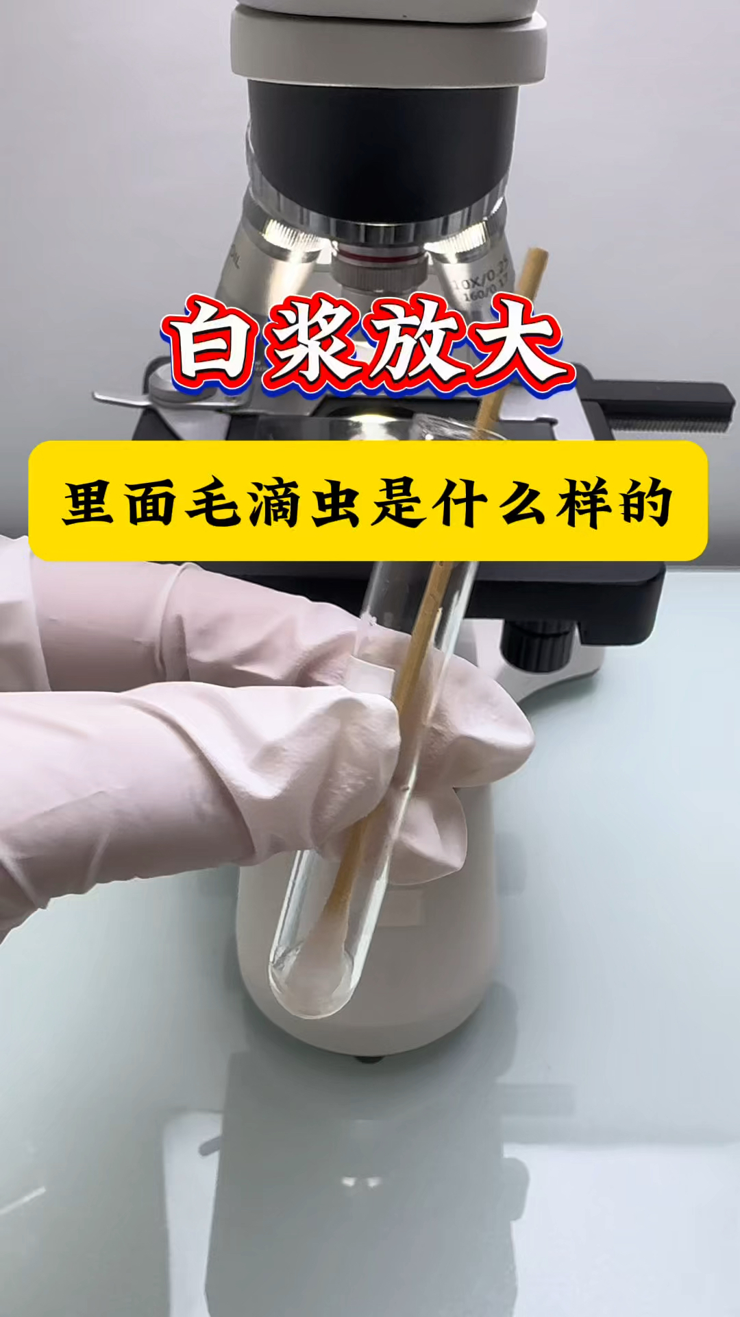 毛滴虫放大,看看是什么样的呢?