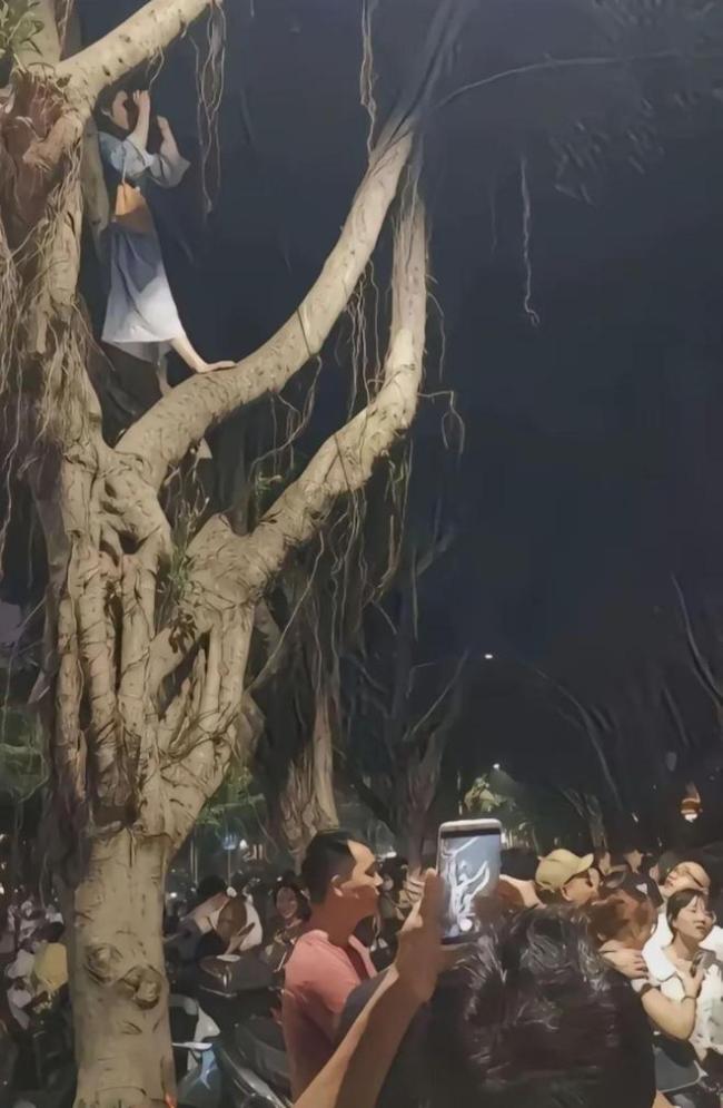 据悉,在场外也聚集了很多粉丝,有的甚至爬到了树上,只为更接近刀郎