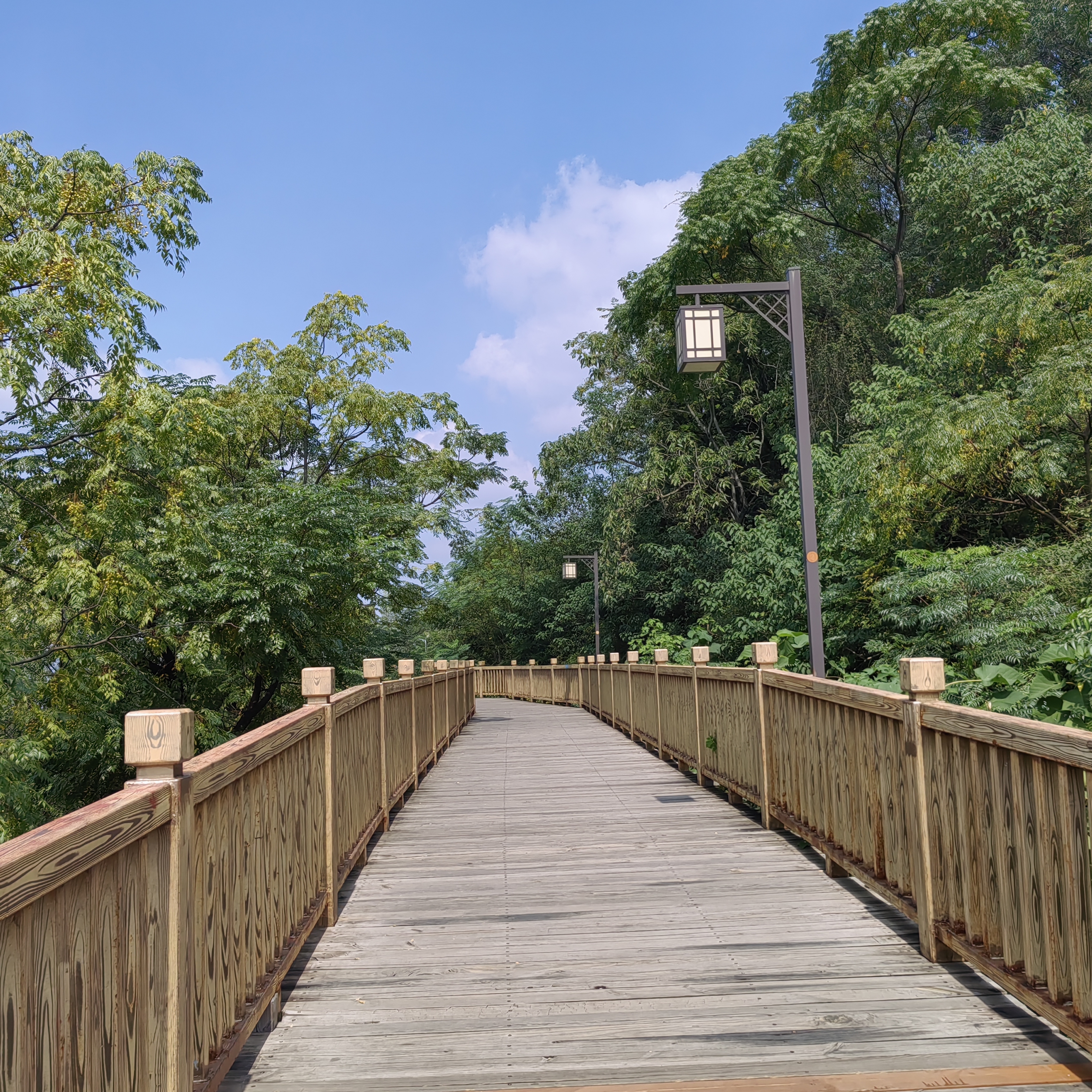 5公里的木栈道,可俯瞰赣州全貌,适合带小孩,老人游览,空气好,值得一去