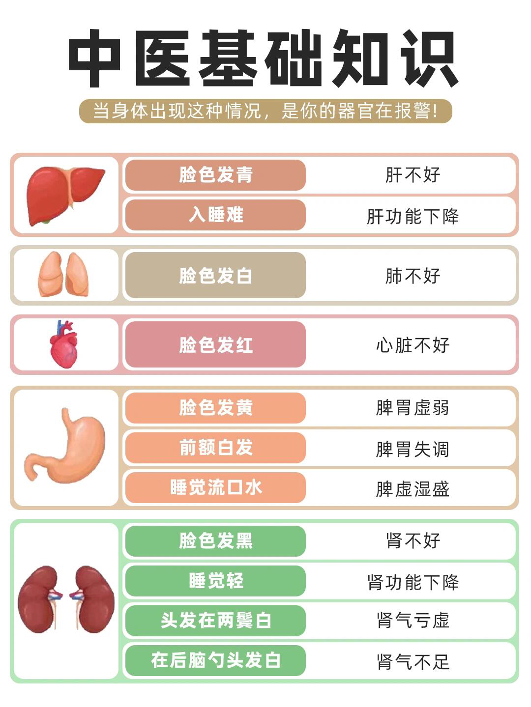 脾反射区图片