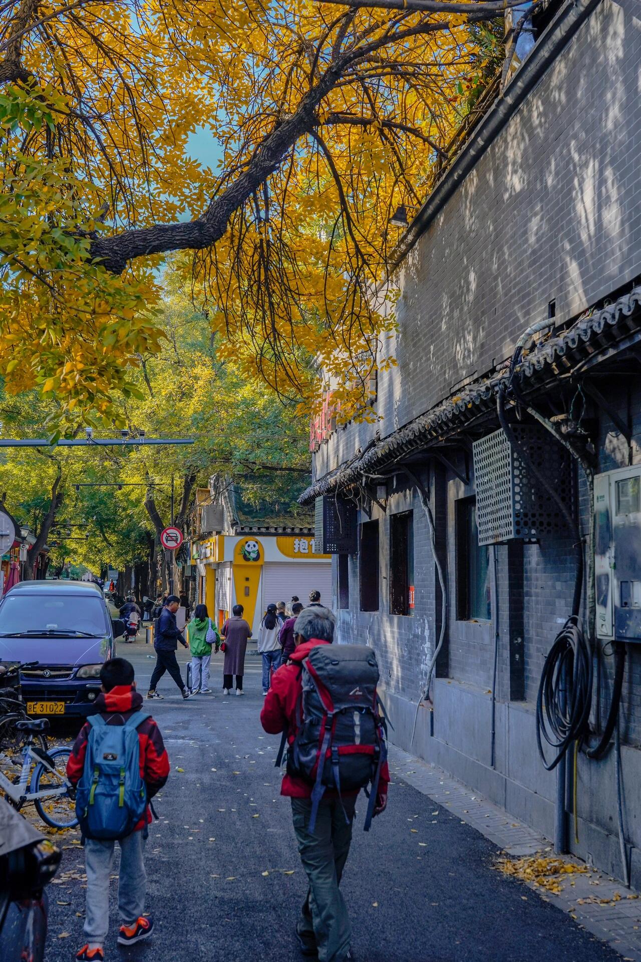 北锣鼓巷的秋天,仿佛一幅精致的画卷