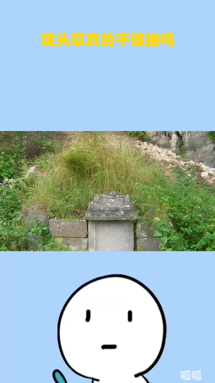 坟头草真的不该拔吗?