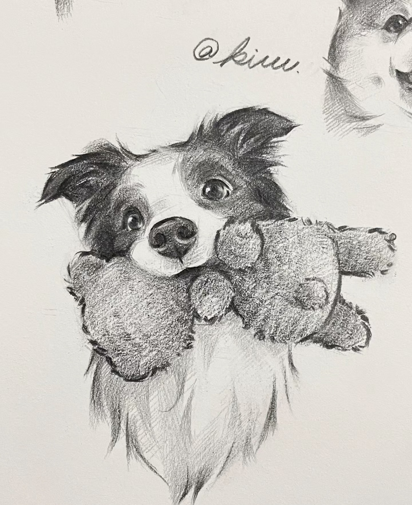 朋友的大娃子画的素描狗勾,简直就是兴趣能量站,线条细腻,形态逼真