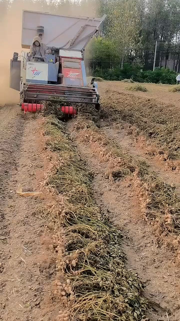 正兴牌花生摘果机图片