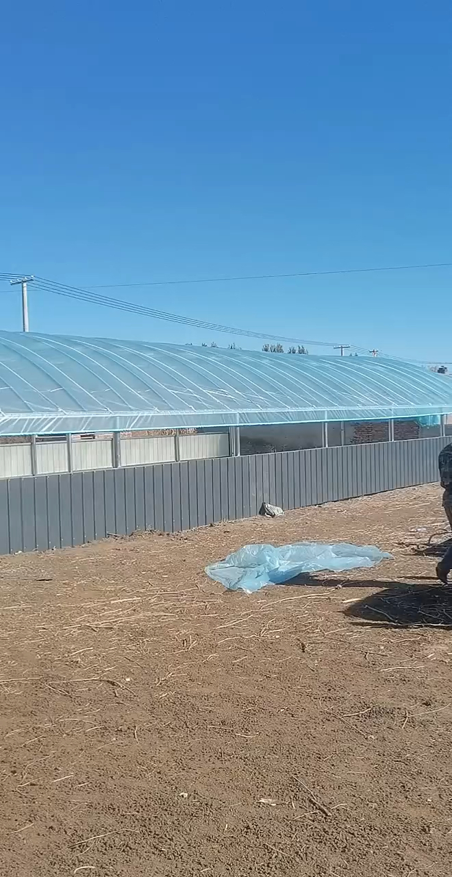 钢材养殖大棚椭圆管骨架