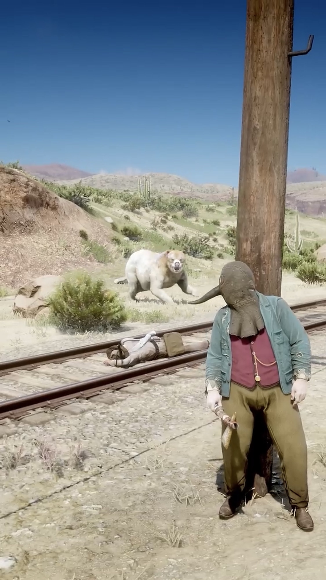 计划泡汤,原想借助火车弄件熊皮大衣,看熊绝地反击,大镖客2