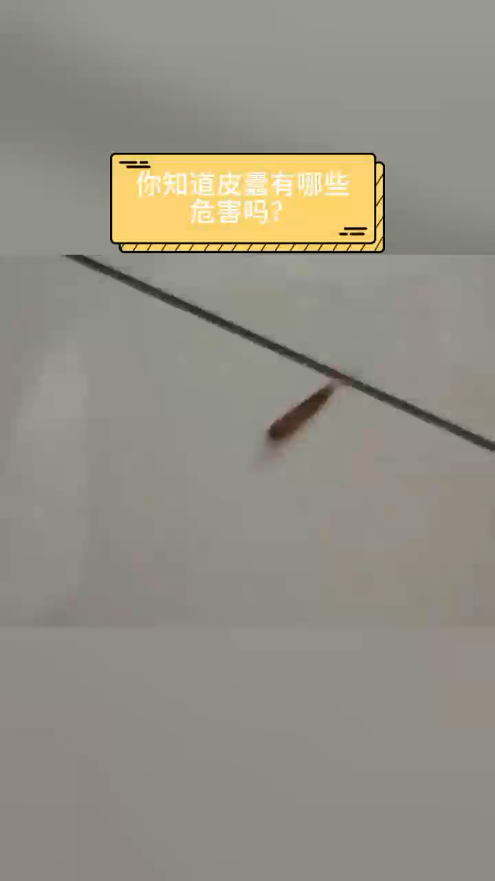 你知道皮蠹有哪些危害吗?