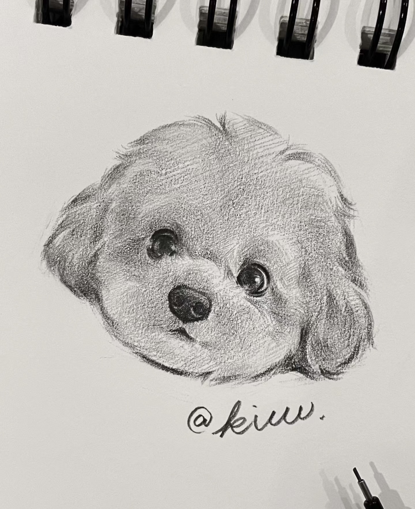 朋友的大娃子画的素描狗勾,简直就是兴趣能量站,线条细腻,形态逼真