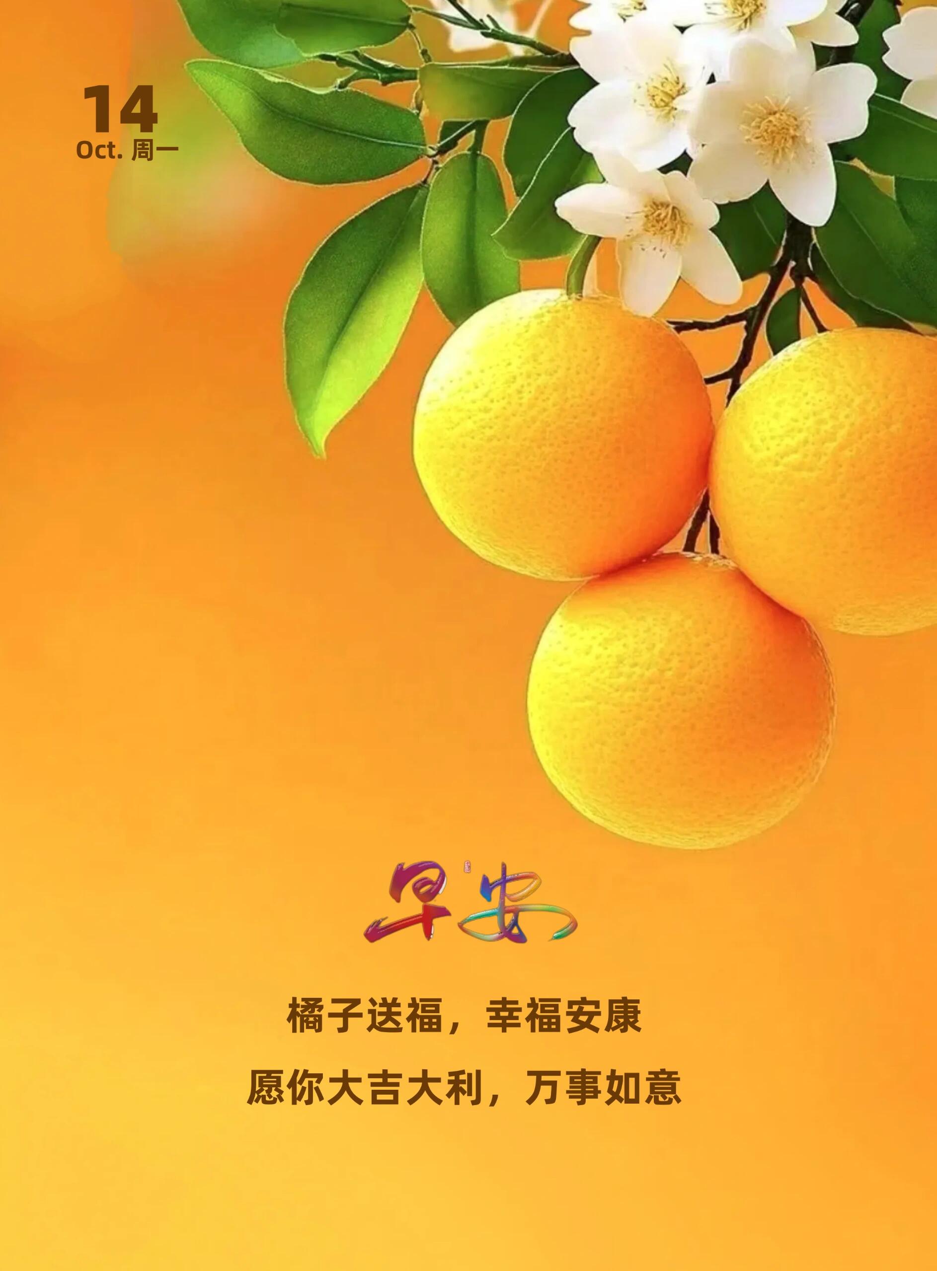 《深秋寒意浓,心暖自相知》