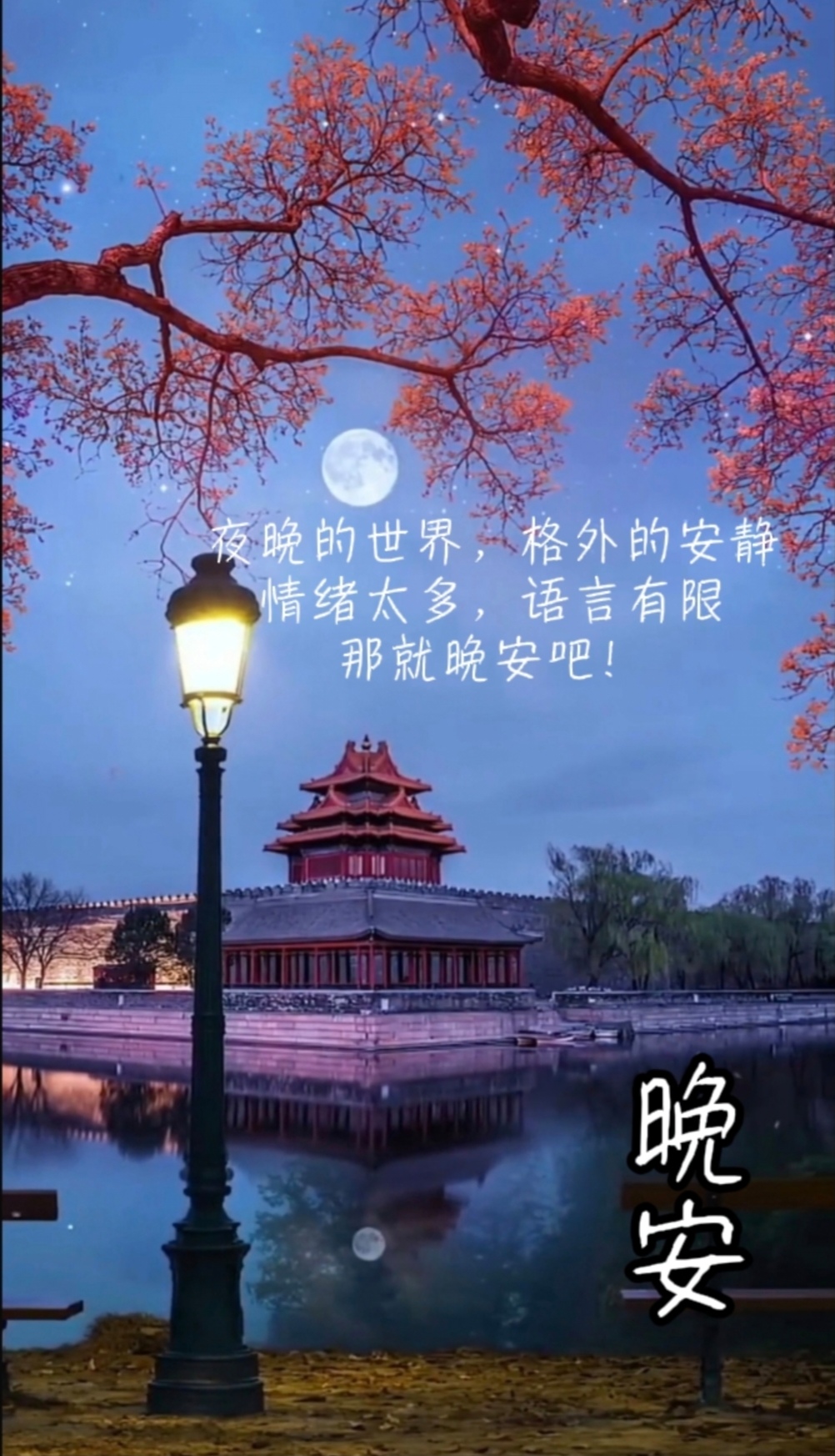 愿你保持那份对生活的热爱与执着,让岁月温柔以待.晚安!