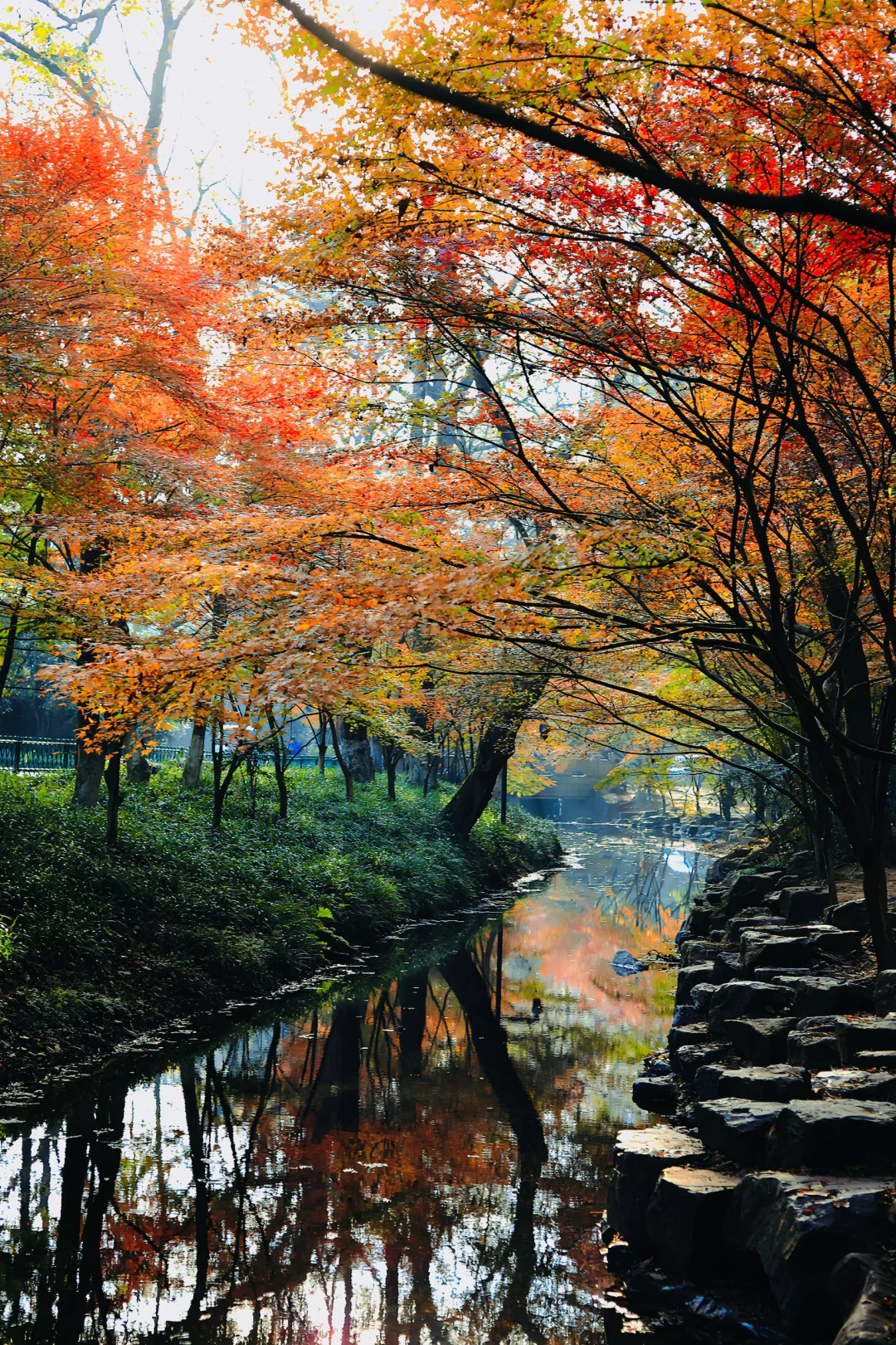 九畹溪风景区图片图片