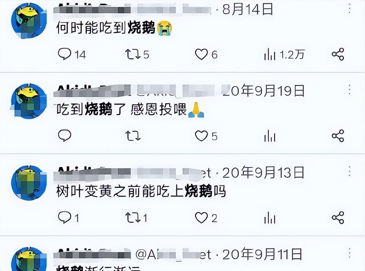 2020年10月份,王懿通过不正规的留学中介,在日本一所不入流的"野鸡