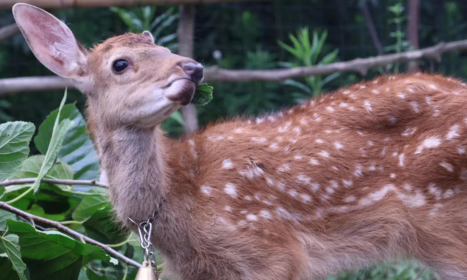 还未见识过世道人心,自然会对他人有所期待