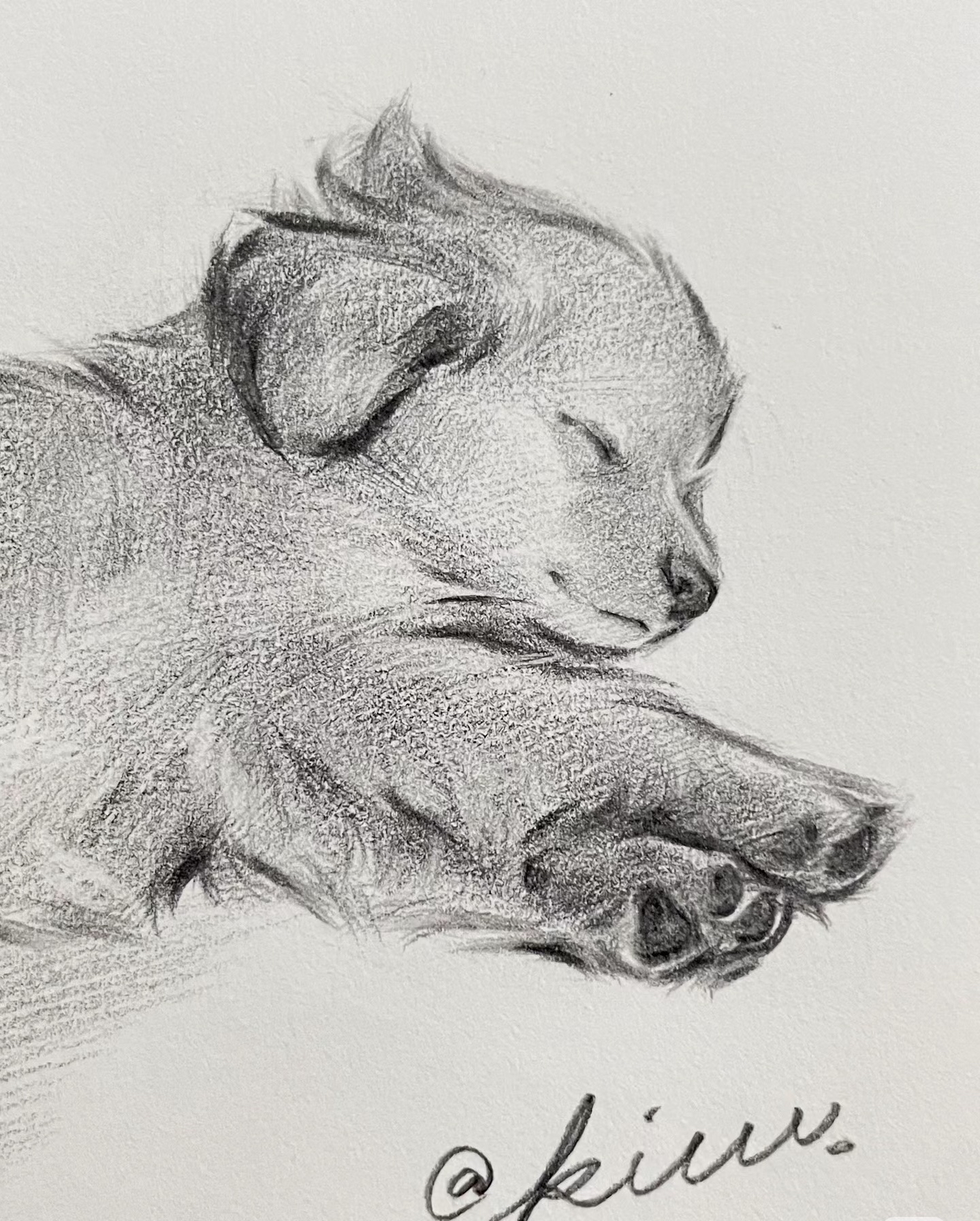 老天,这也太可爱啦!